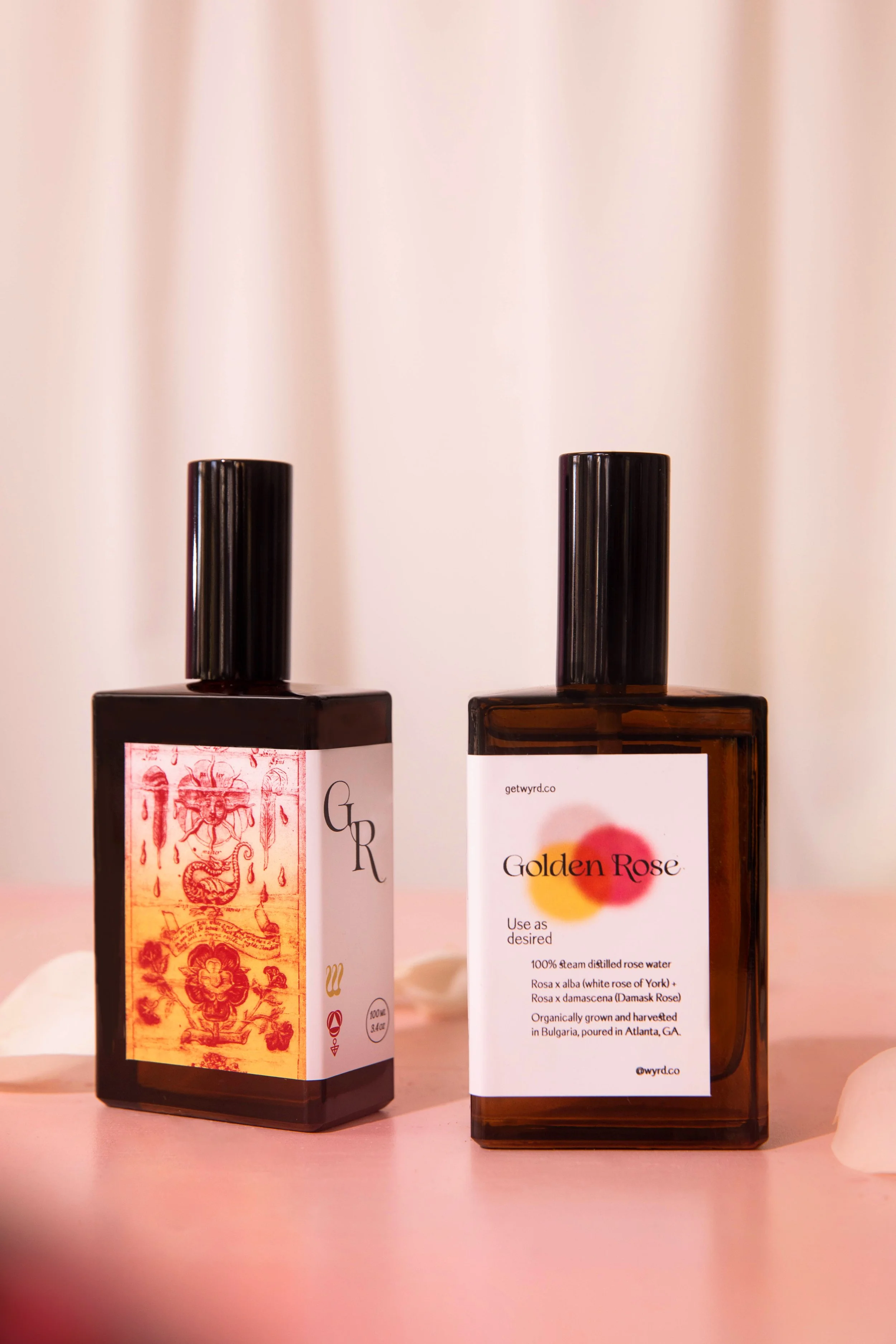 Golden Rose-9124.jpg