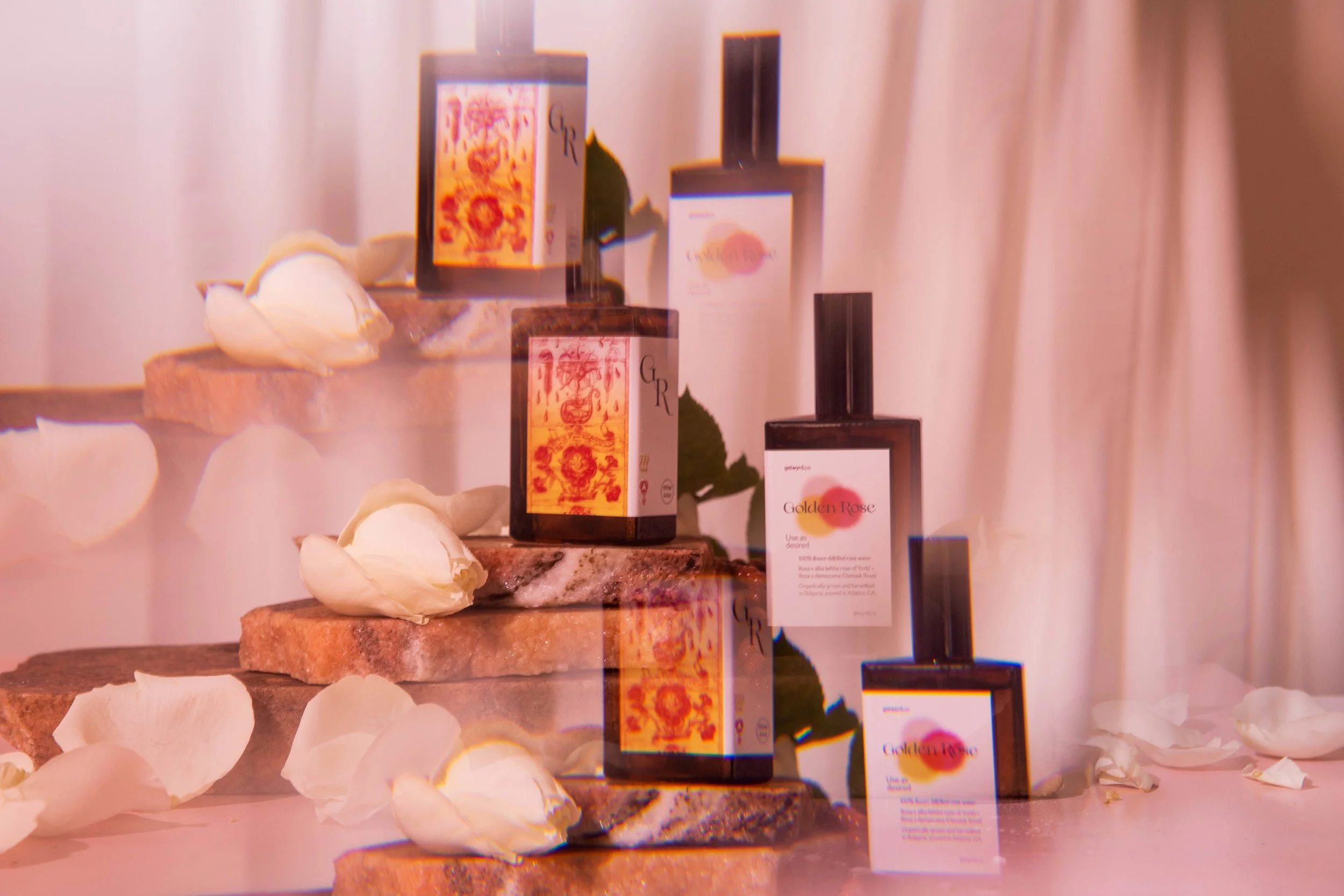 Golden Rose-9010.jpg