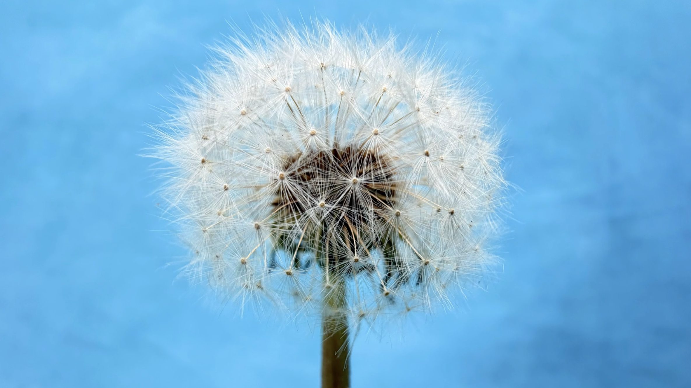 Screenshot 2025-12-21 at 2.57.49 PM.png