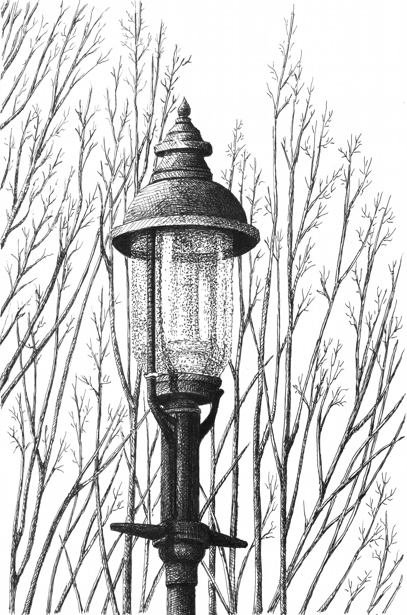 lamplight no 3.jpg
