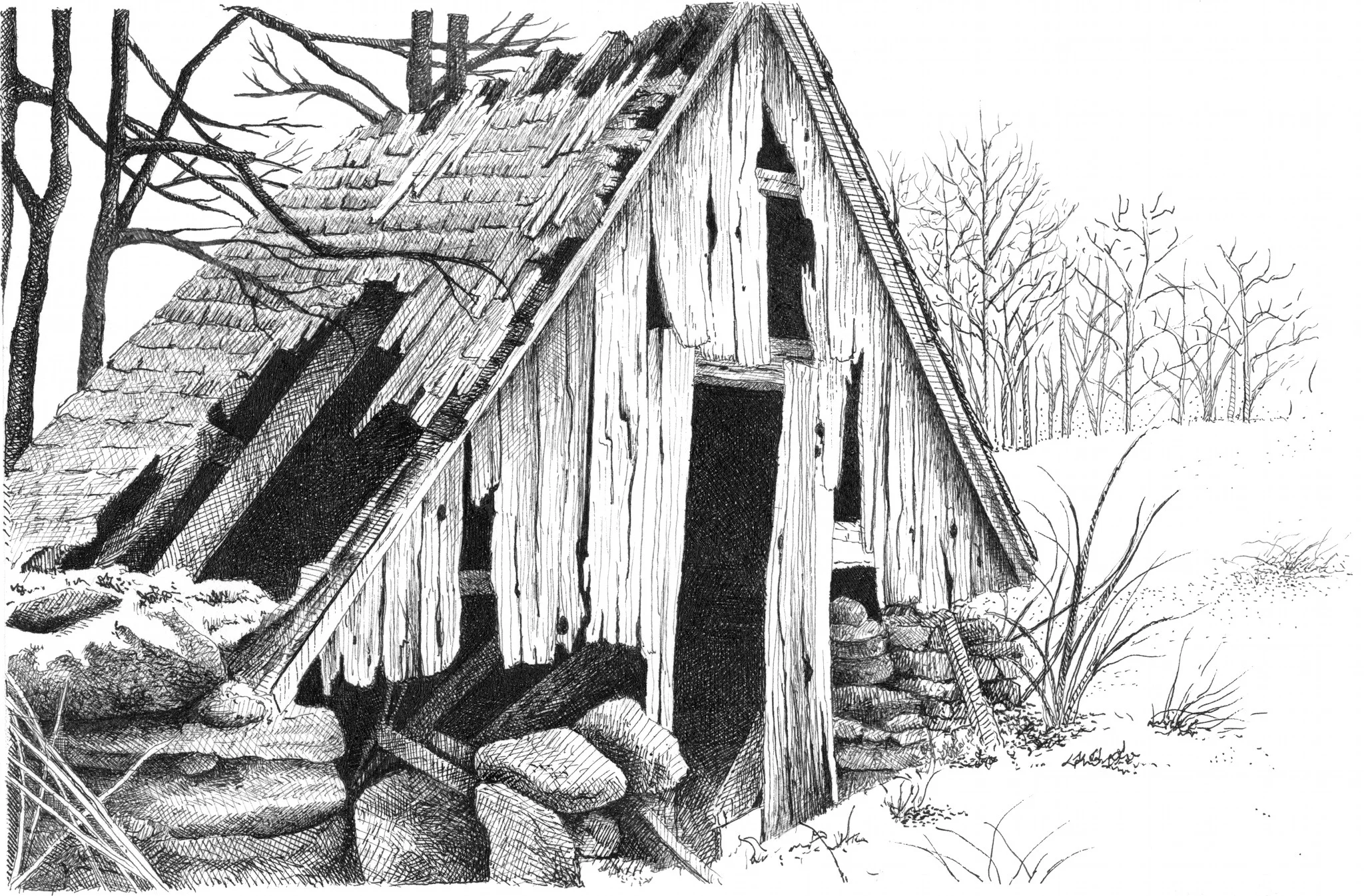 the-tool-shed.jpg