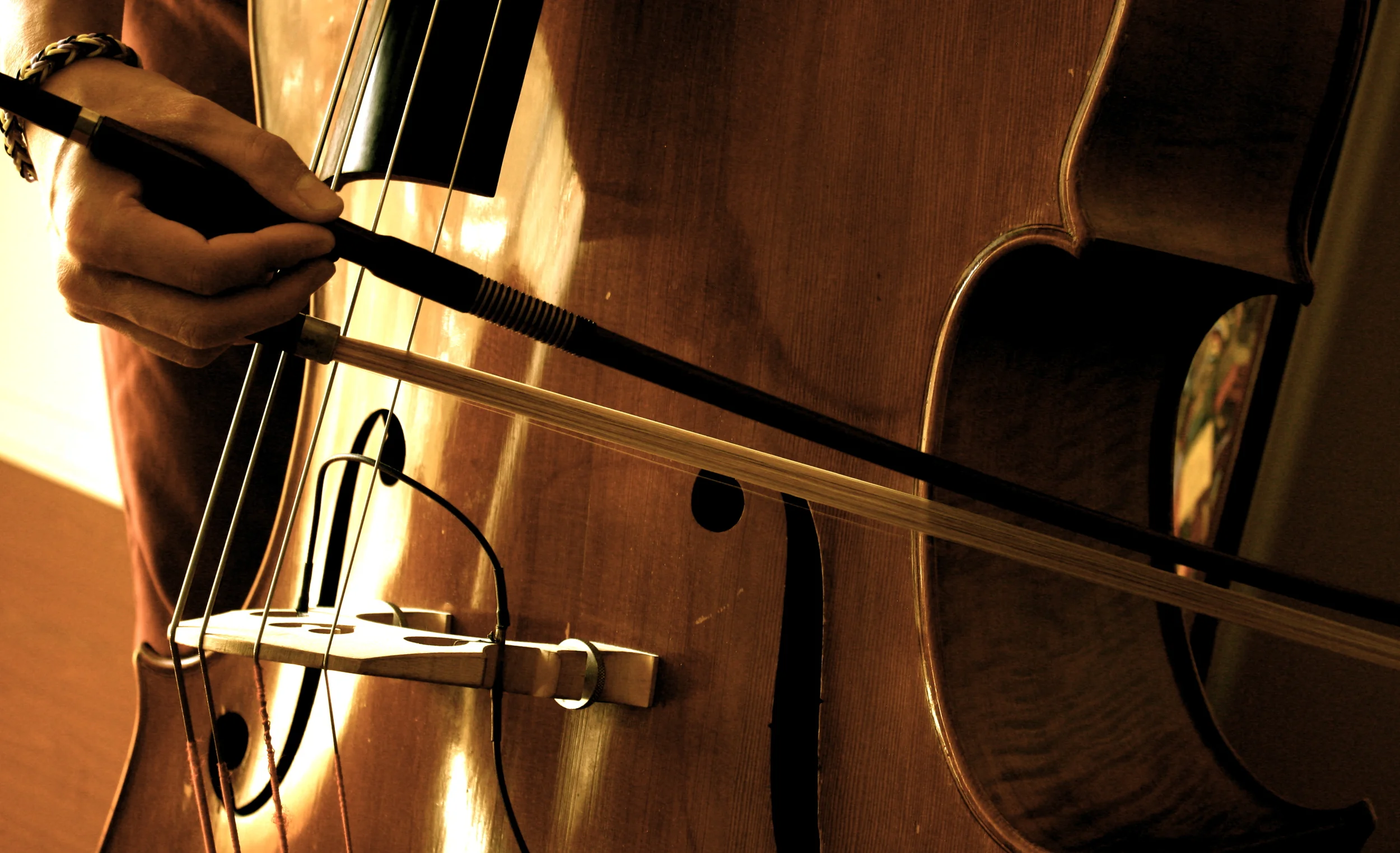 brad babinski arco bass.JPG