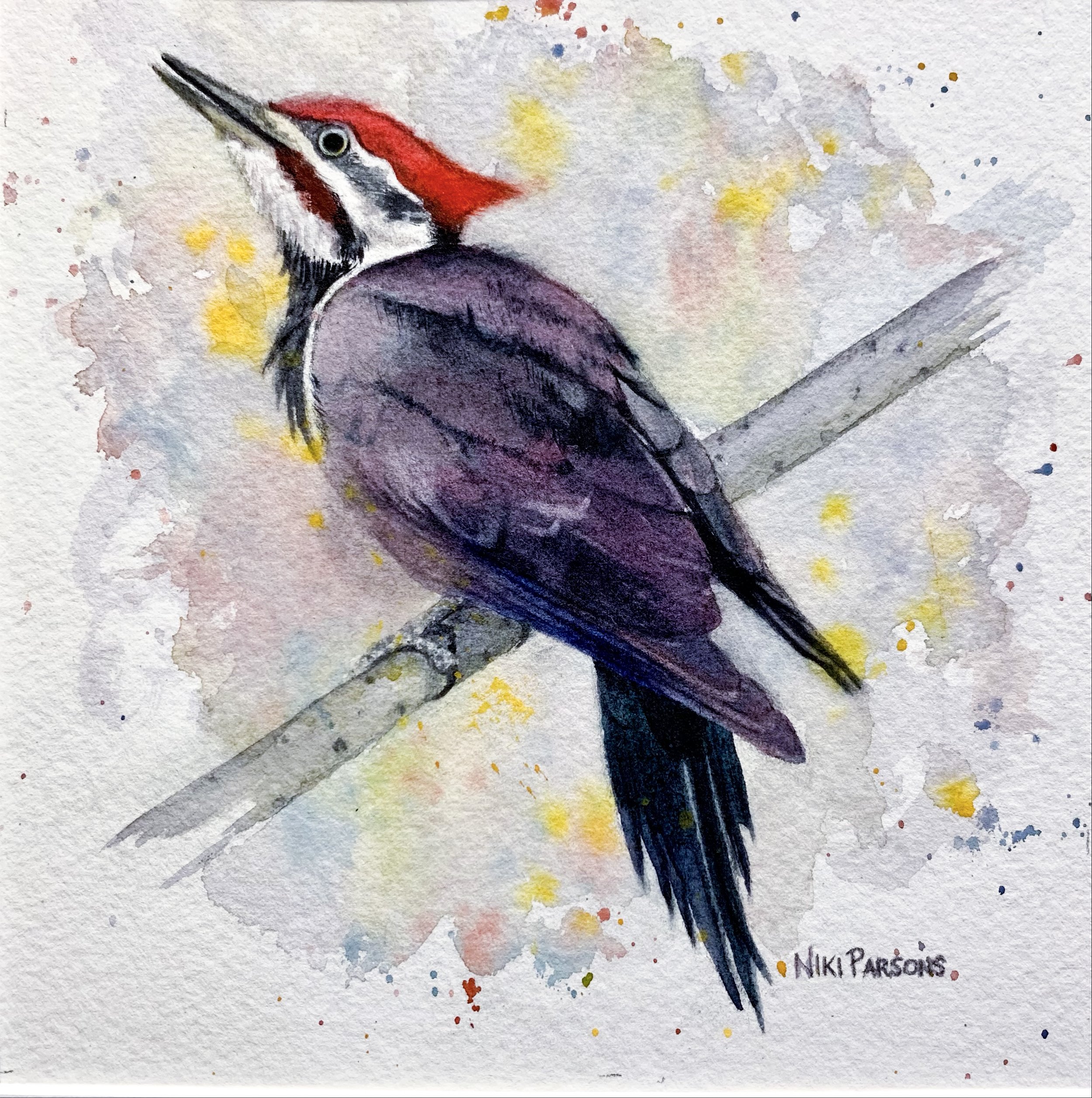 Pileated Woodpecker