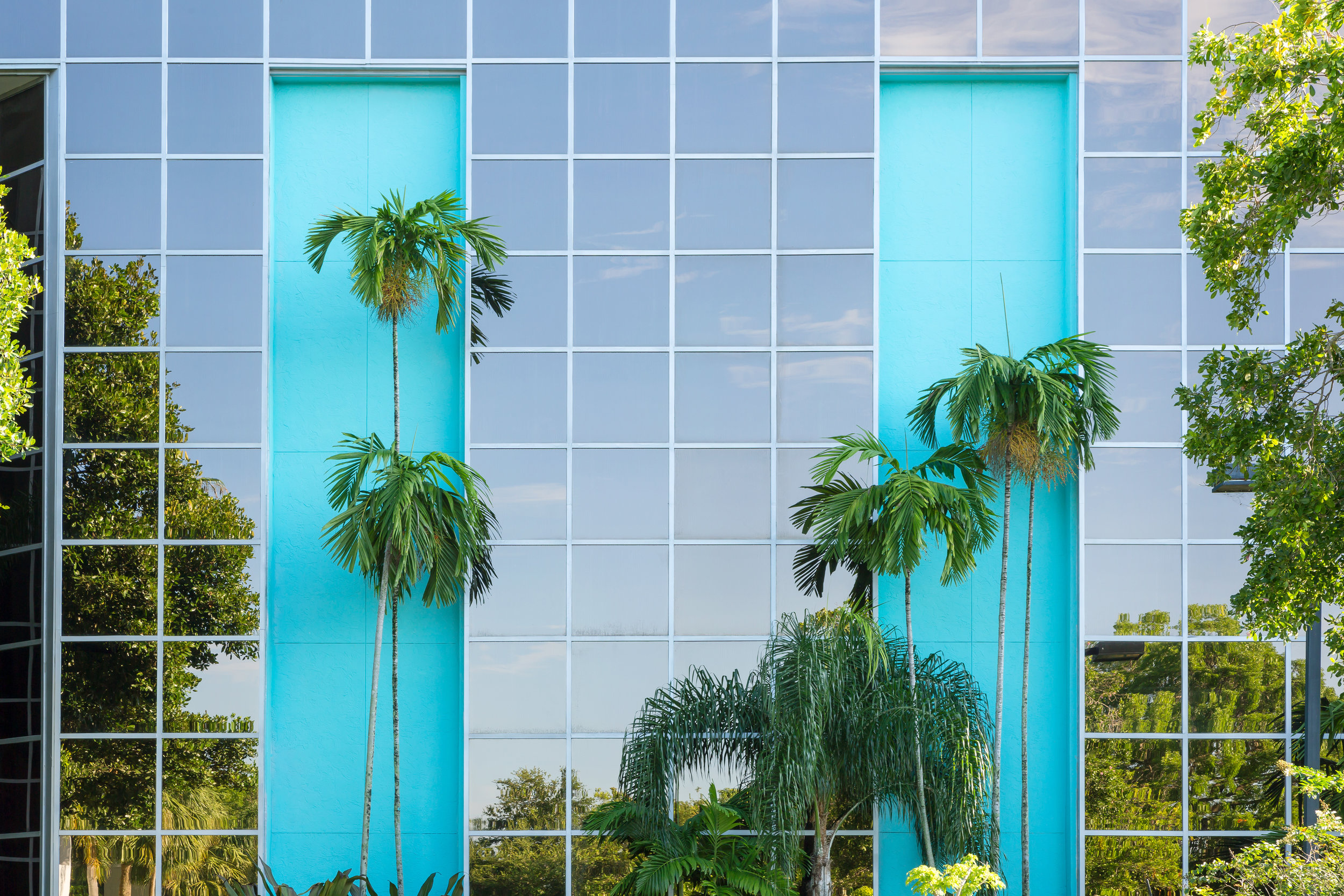 Sawgrass-Palms-Blue-Wall.jpg