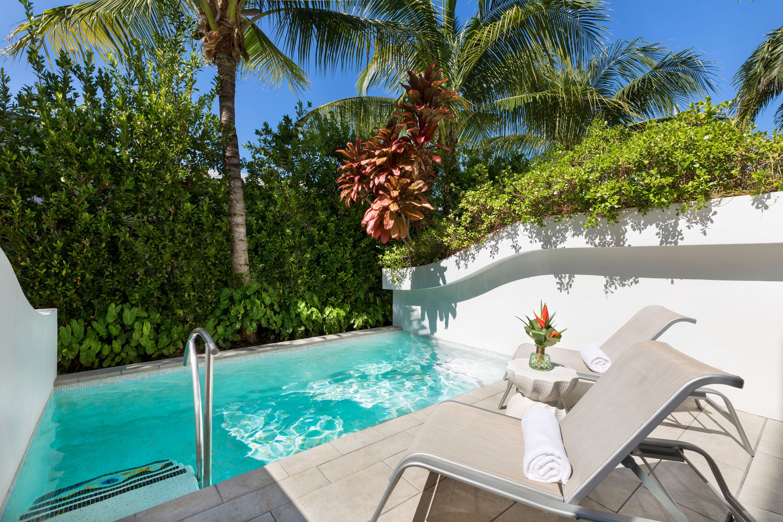 H20-Plunge-Pool-Day-1-LG.jpg