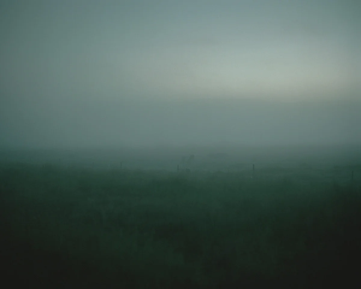 tommy_kwak_fog2laugarvatn_11_1200.jpg