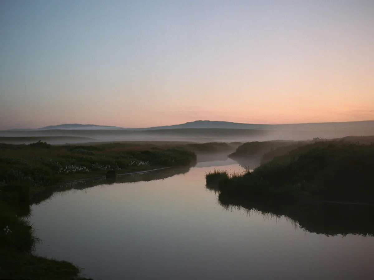 tommy_kwak_fog4_11_1200.jpg