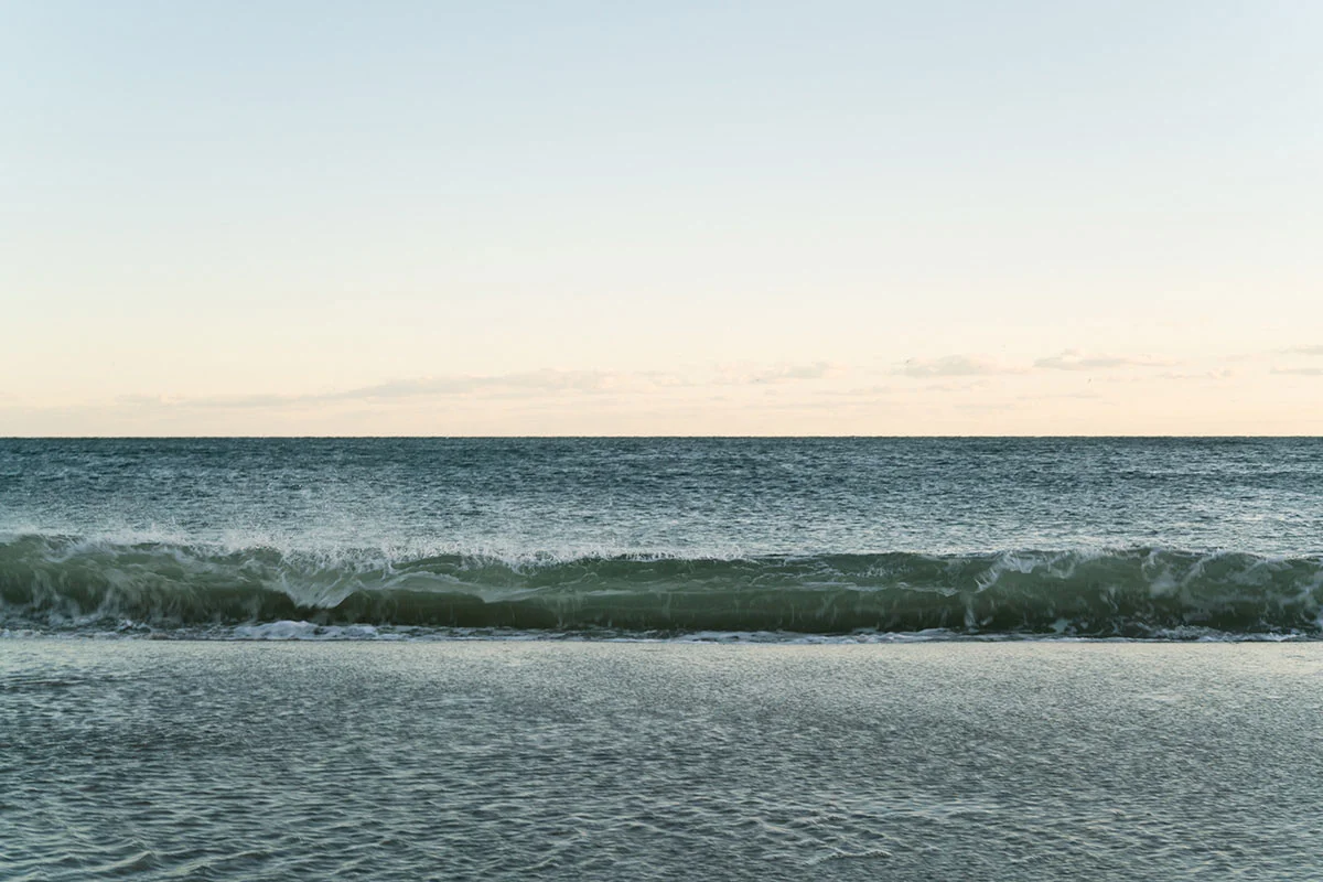 Wave (Jacob Riis, NY), 2017