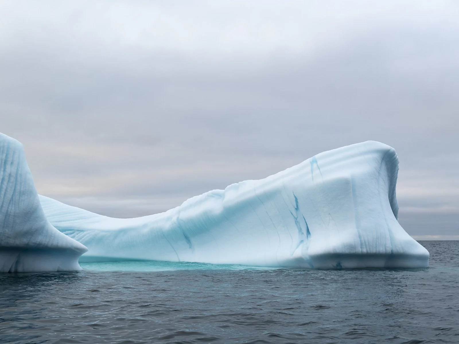 _DSC6284.jpg
