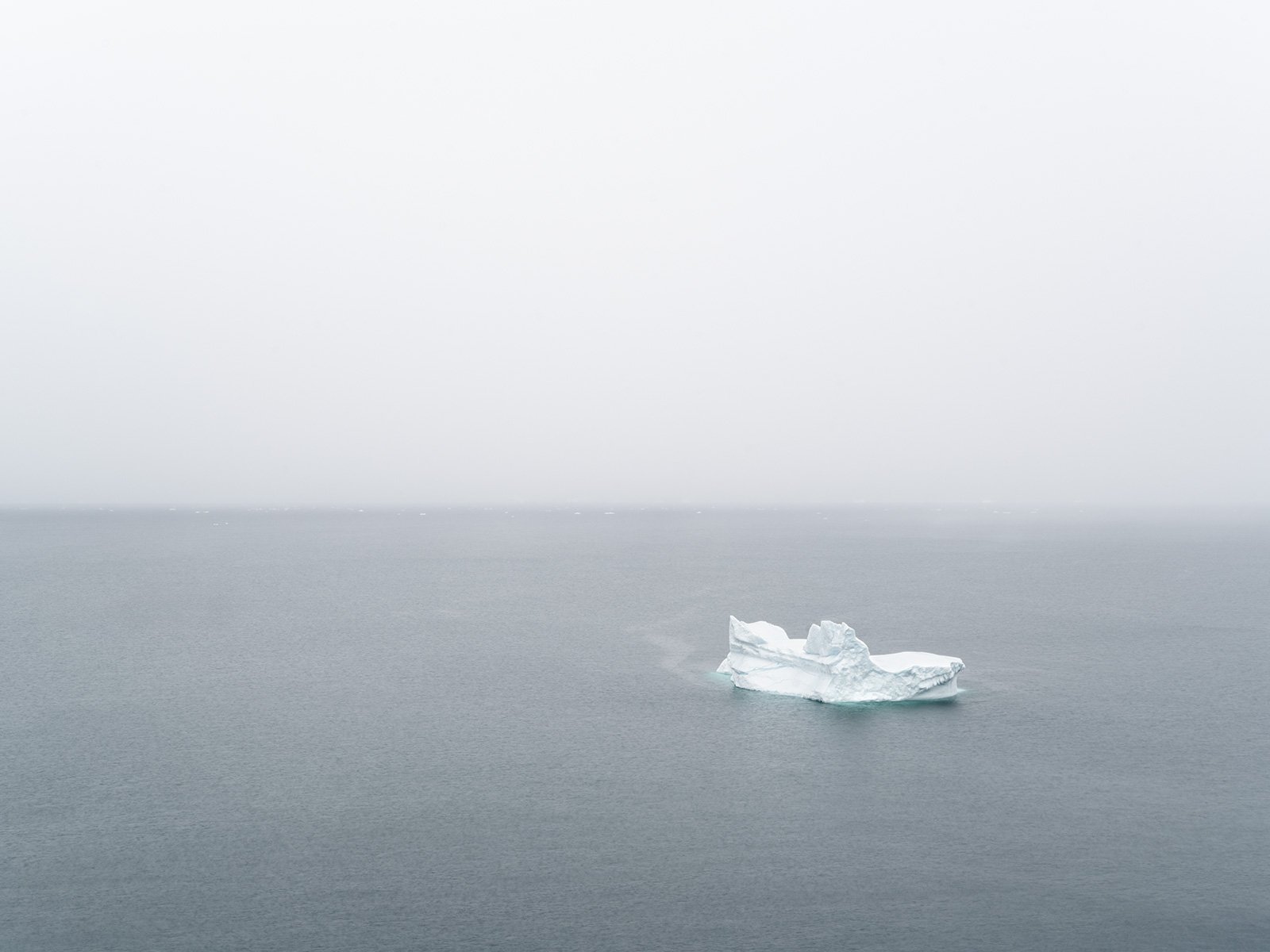 _DSC6639.jpg