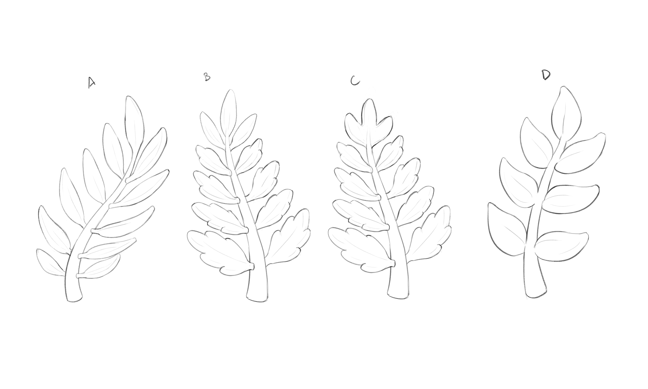 fronds.png