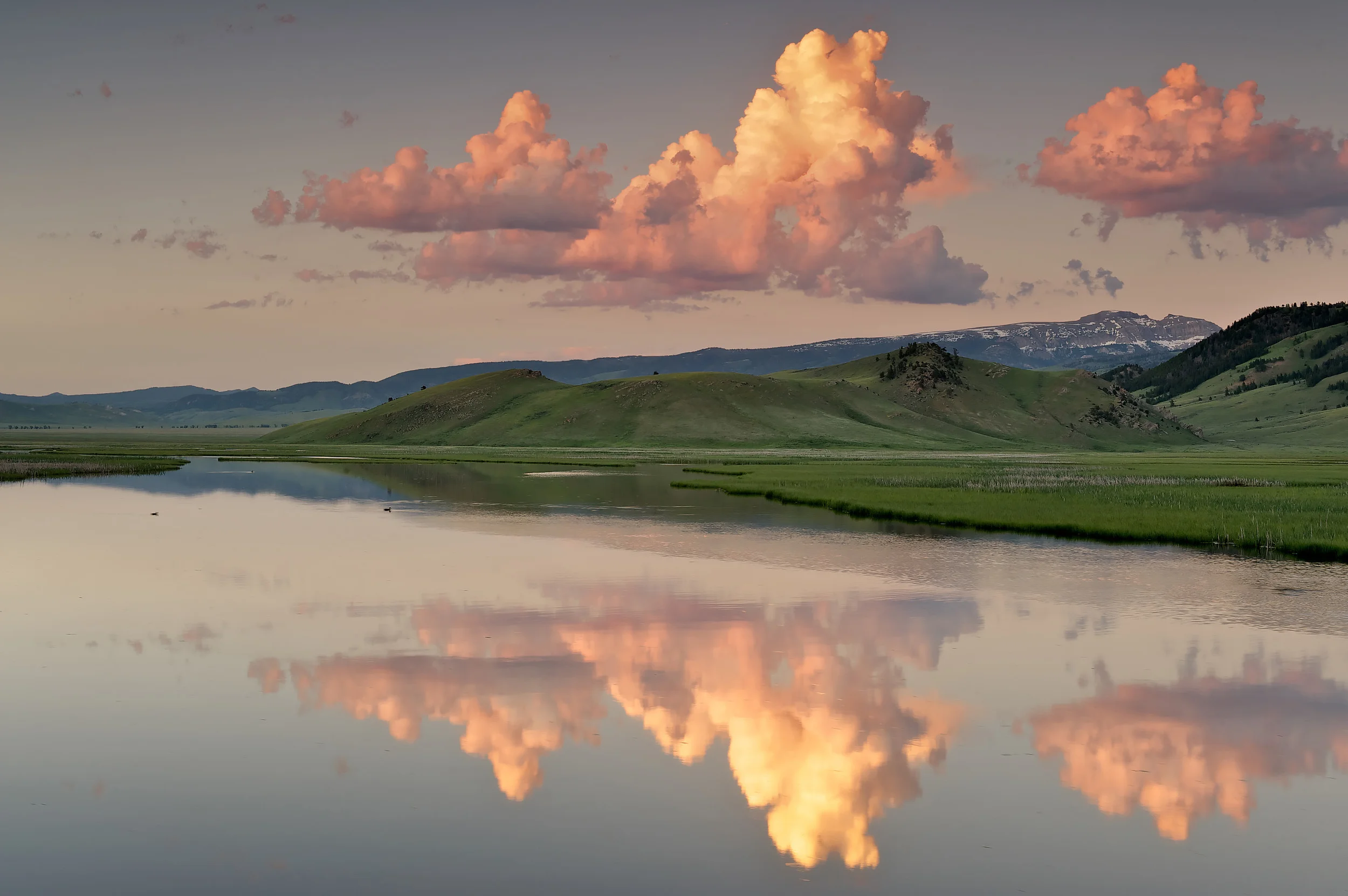 Flat Creek
, Grand Teton NP, Wyoming, USA