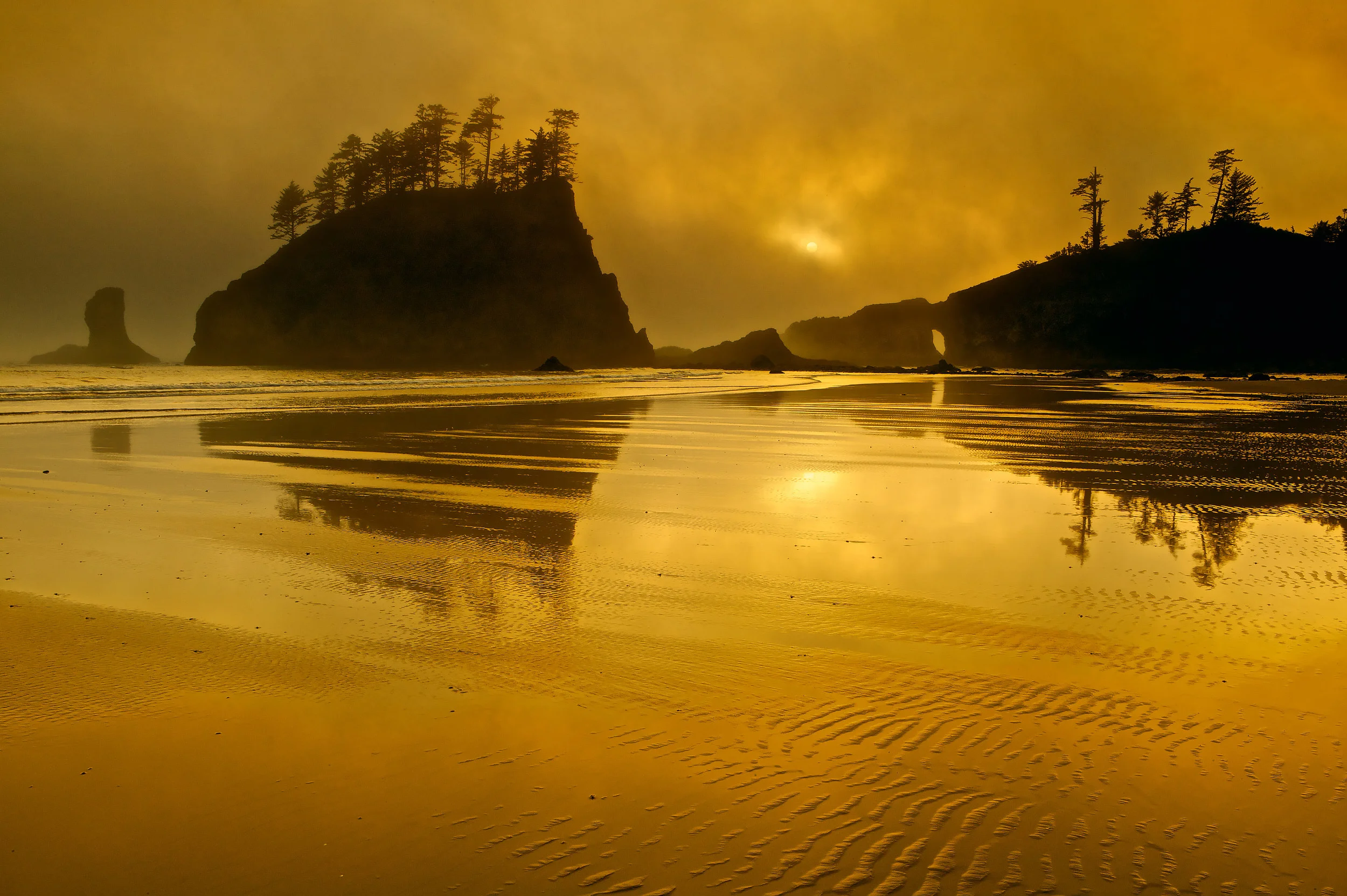 Sea Stacks at Second Beach in the fog at sunset, Olympic NP, Washington