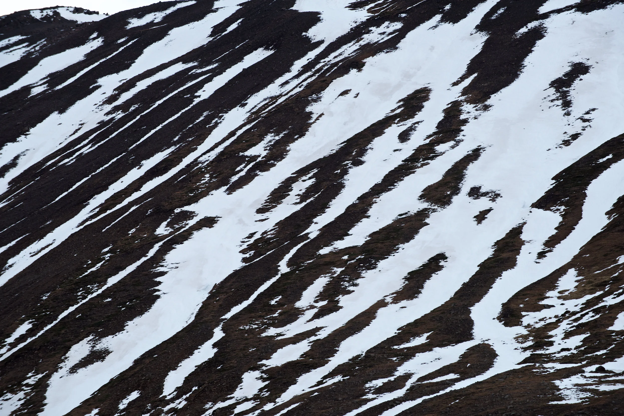 DSC_0992.jpg