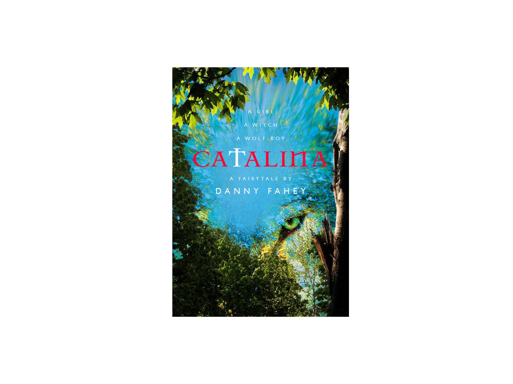 Book design for 'Catalina' by Danny Fahey