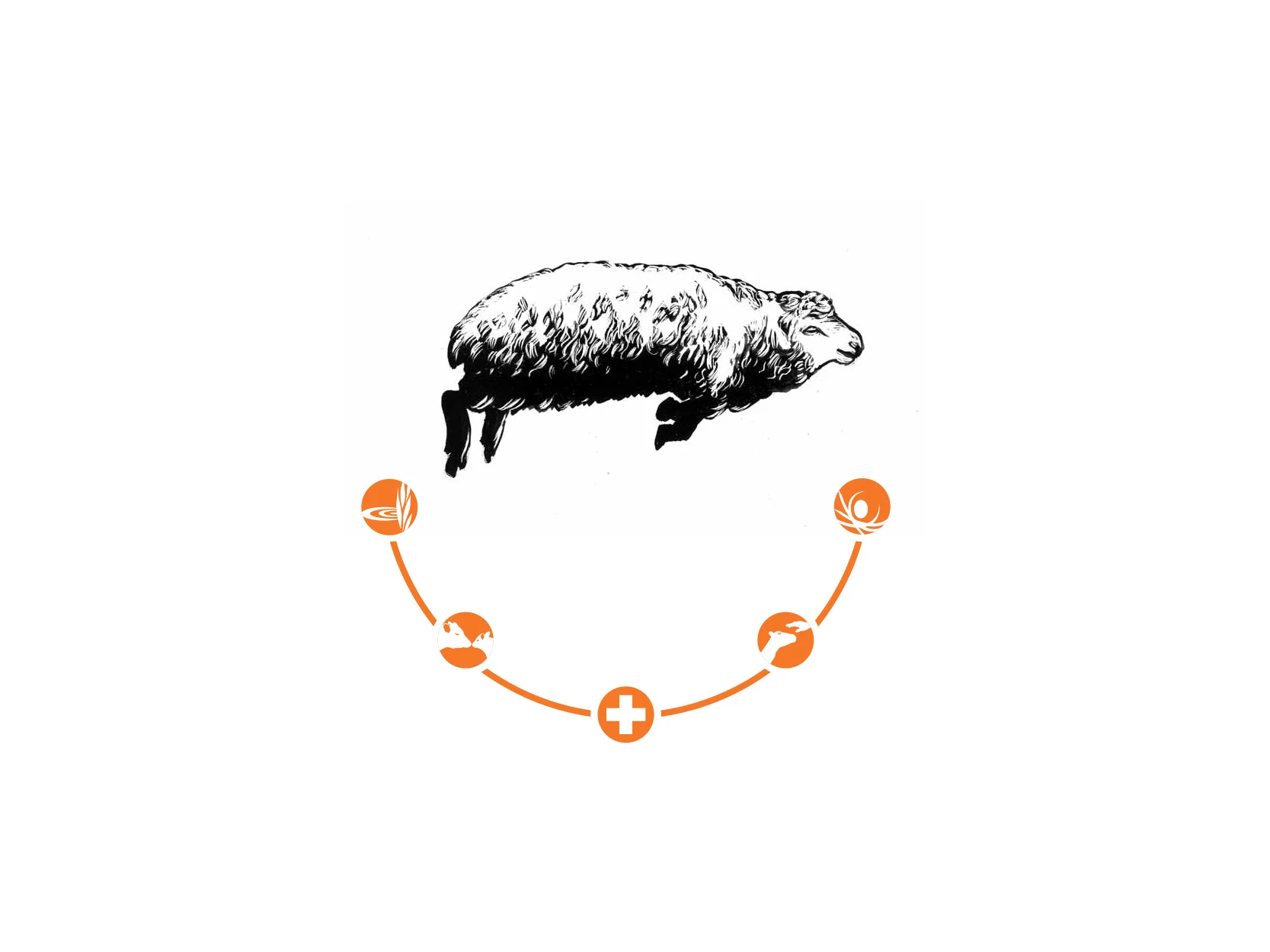 Scraperboard illustration and vector symbols for World Society for the Protection of Animals