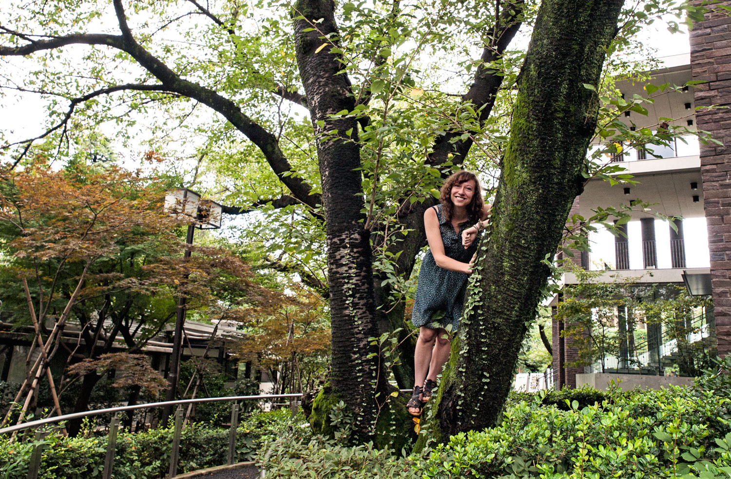 Asaka City, Japan