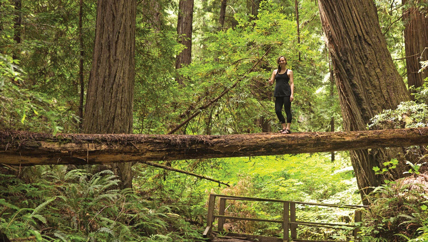 Humbolt Redwoods State Park | Weott, CA