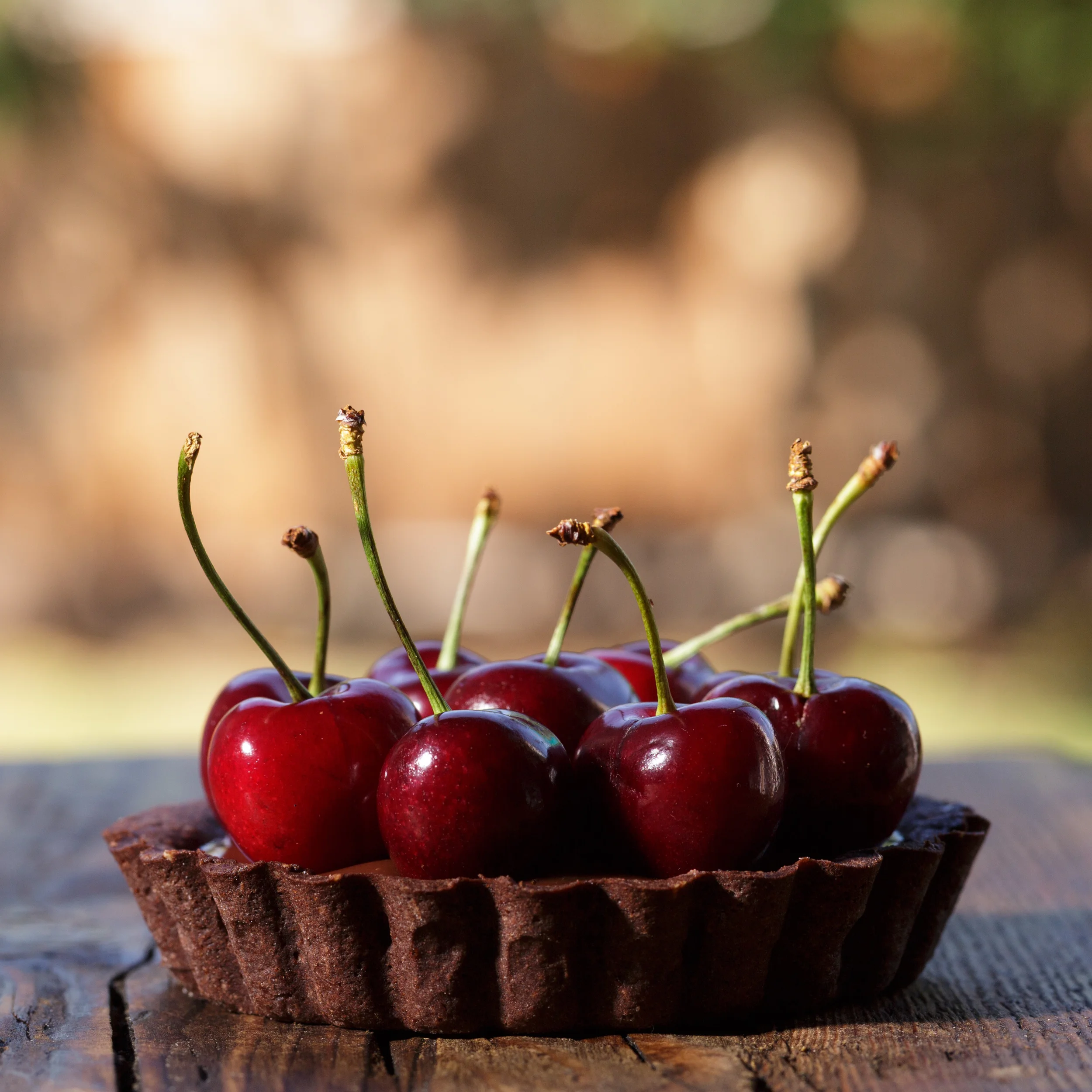 Chocolate Ganache Fruit Tart