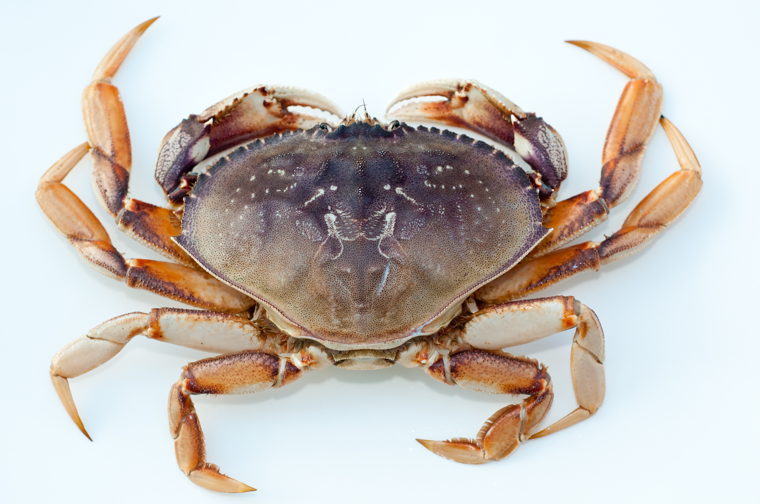 Photo by Kelvin Yue/iStock / Getty Images