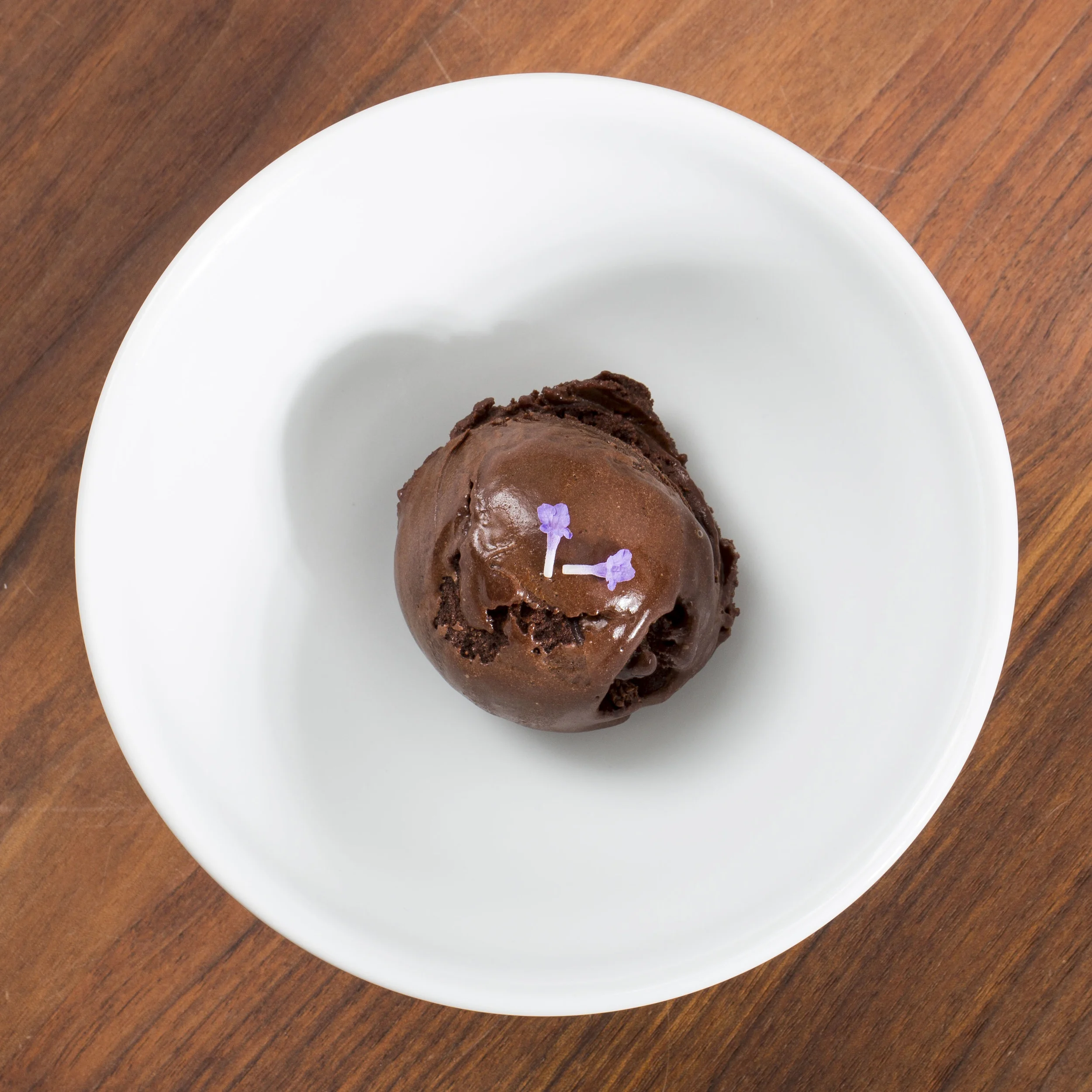 Chocolate Sorbet