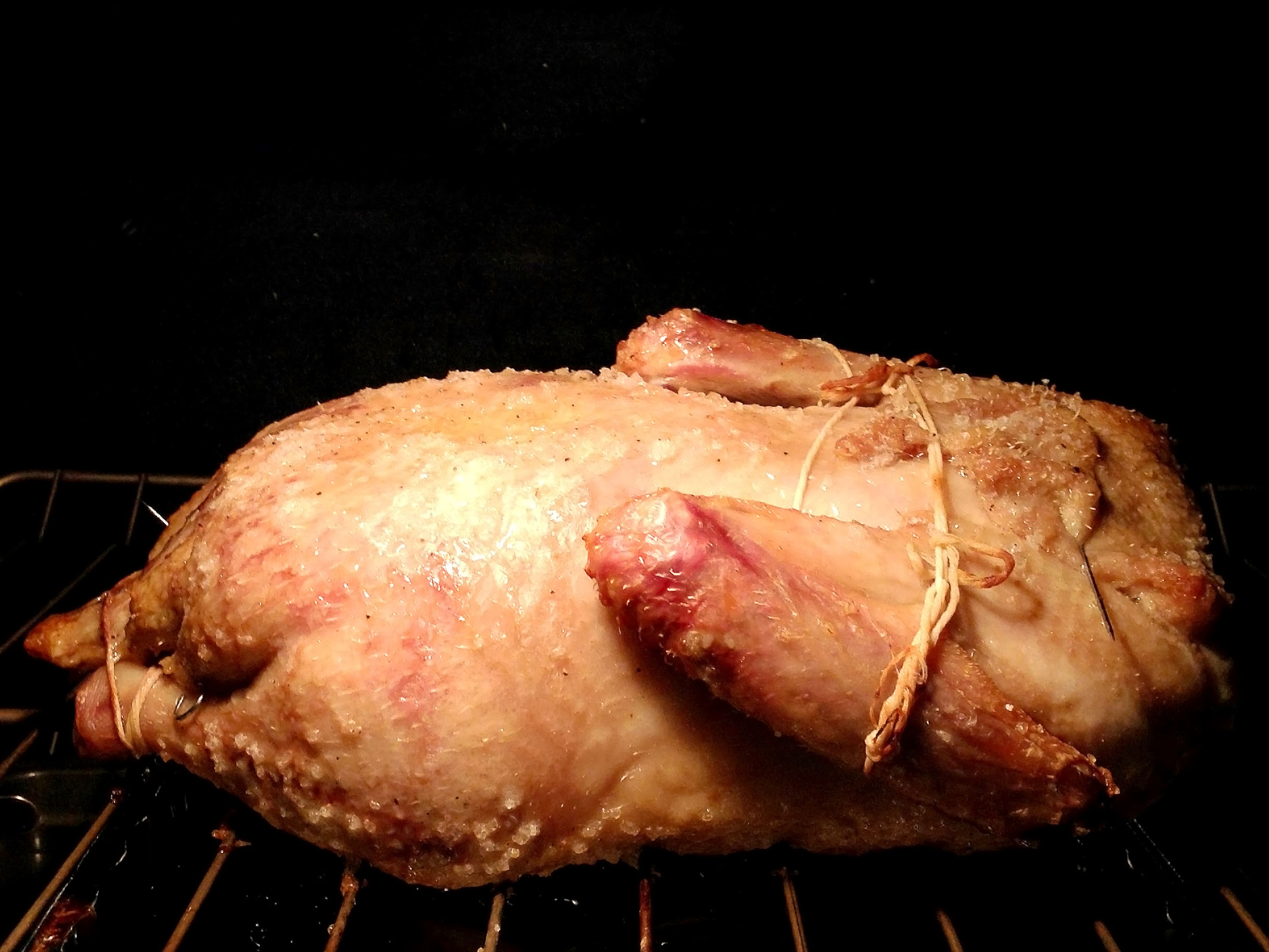 Duck roasting - from the oven cam.