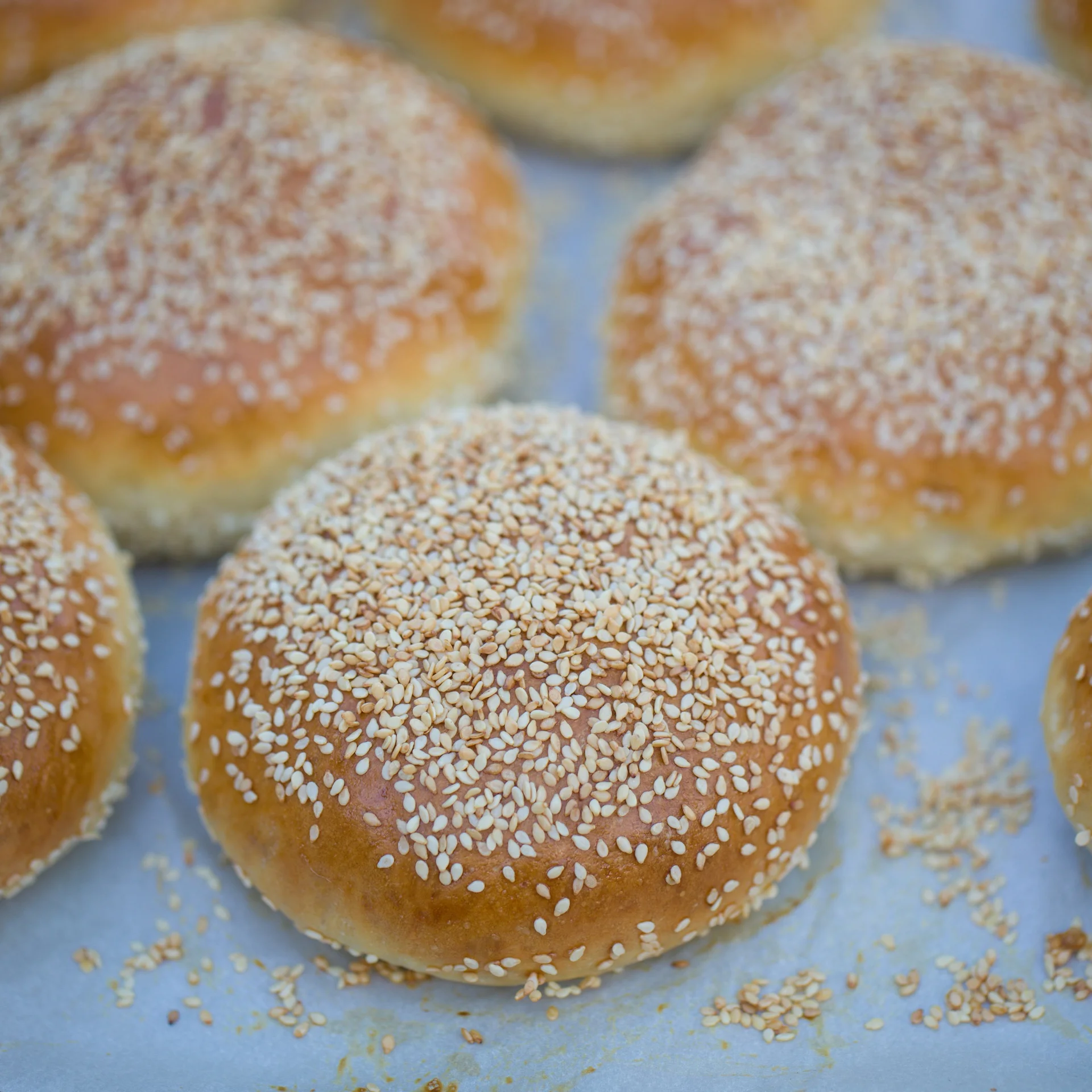 The ultimate Hamburger Buns / Light Brioche Buns