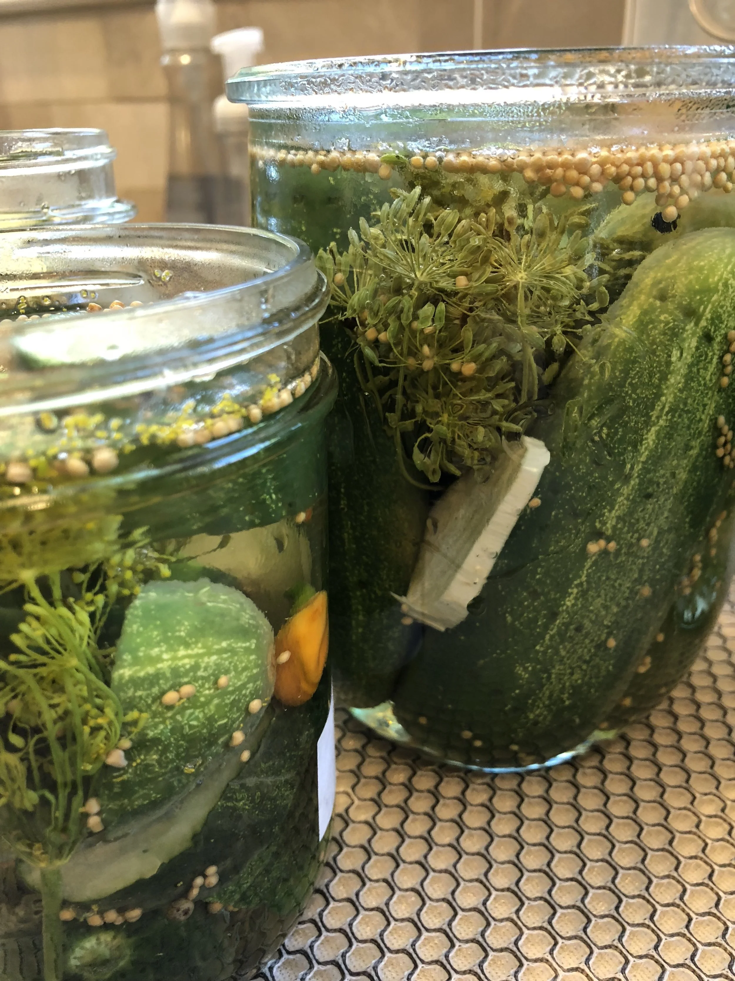 Pickled Cucumbers
