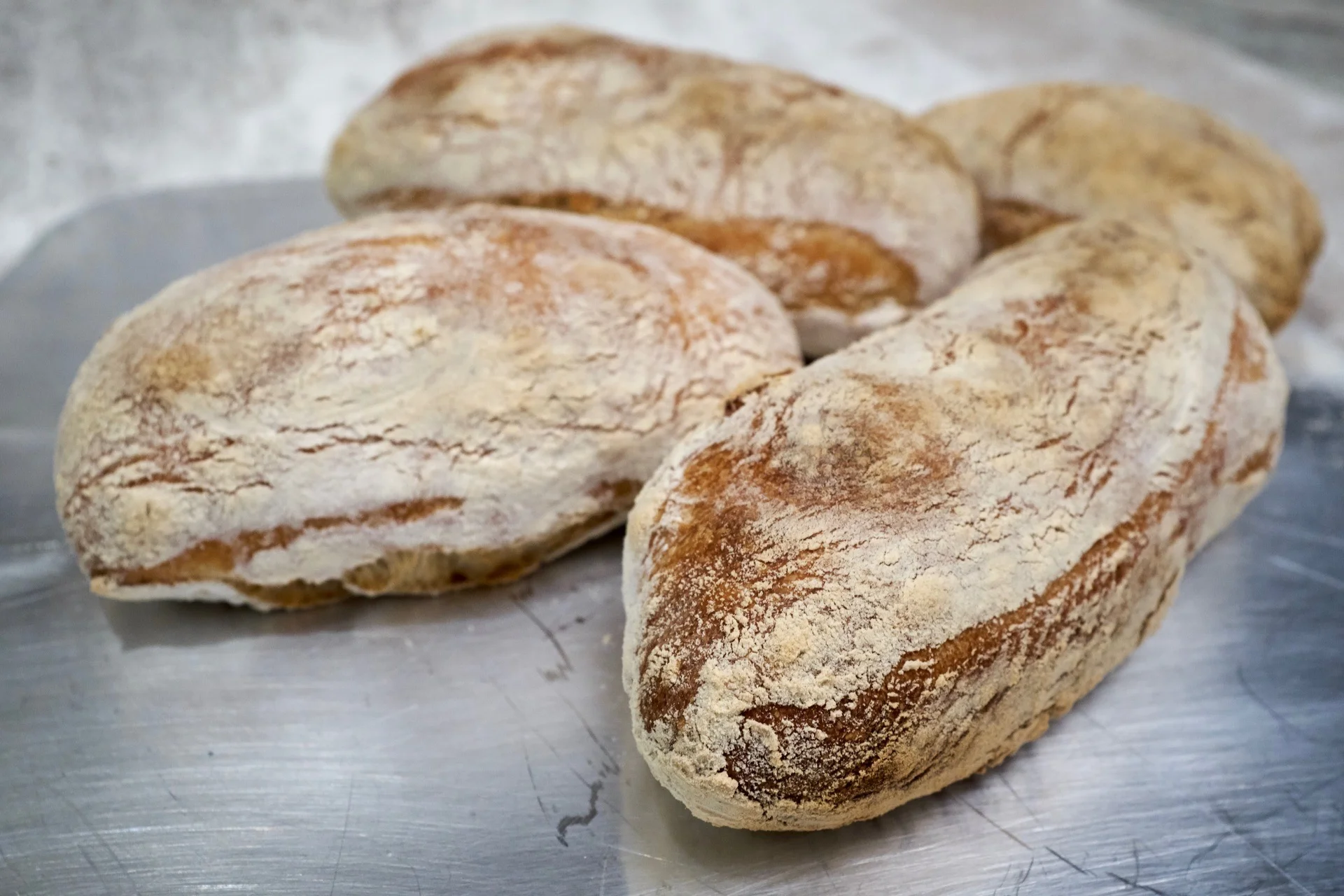 Ciabatta Bread Rolls