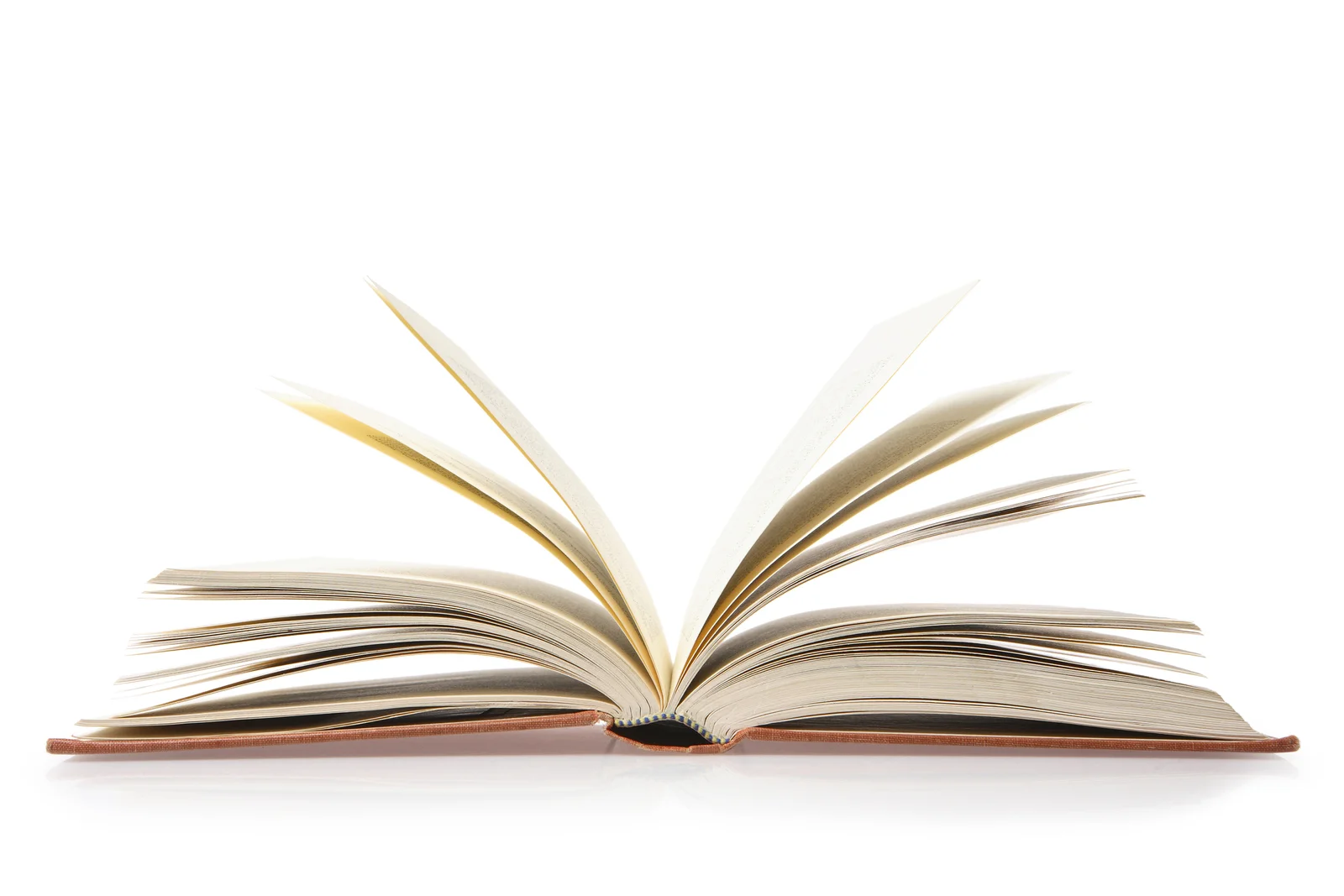 About the book