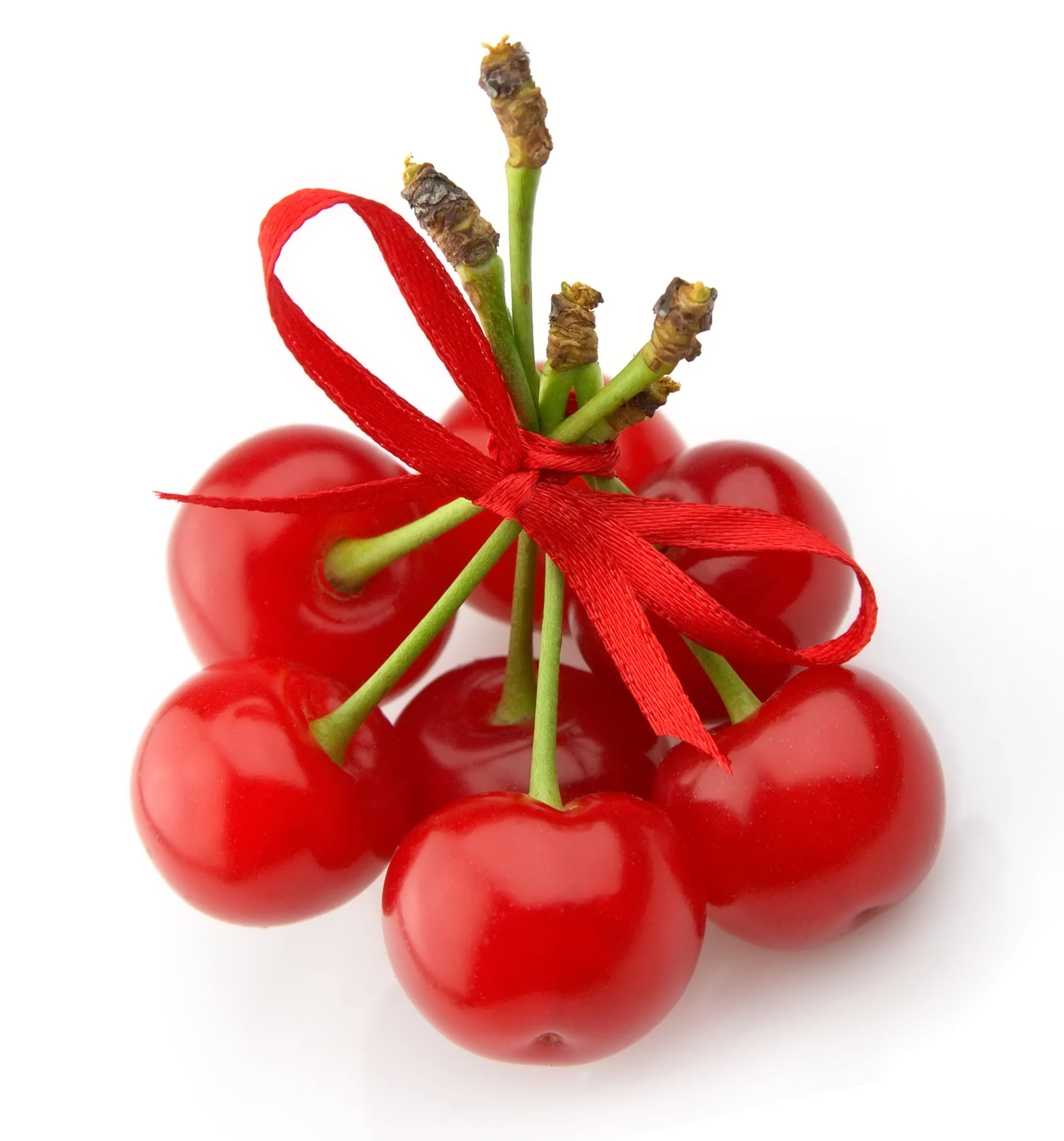 SmartGradVeg! Six Great Gifts For Your Favorite Vegetarian High School Graduate