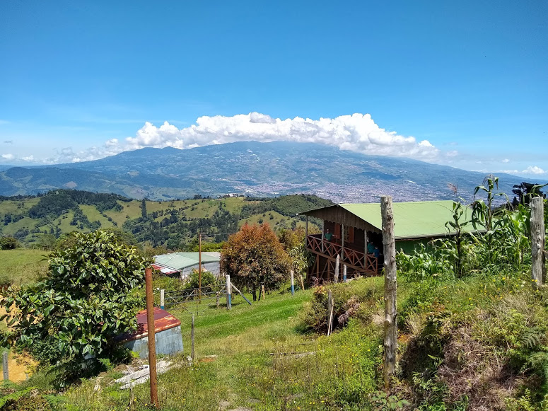 IMG_20181007_110516135_HDR.jpg