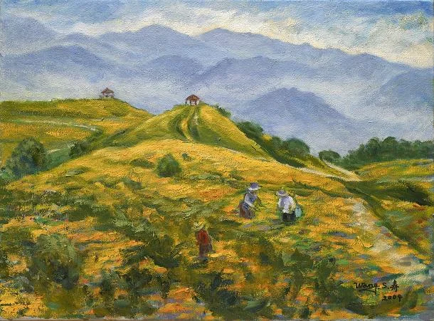 花蓮六十石山