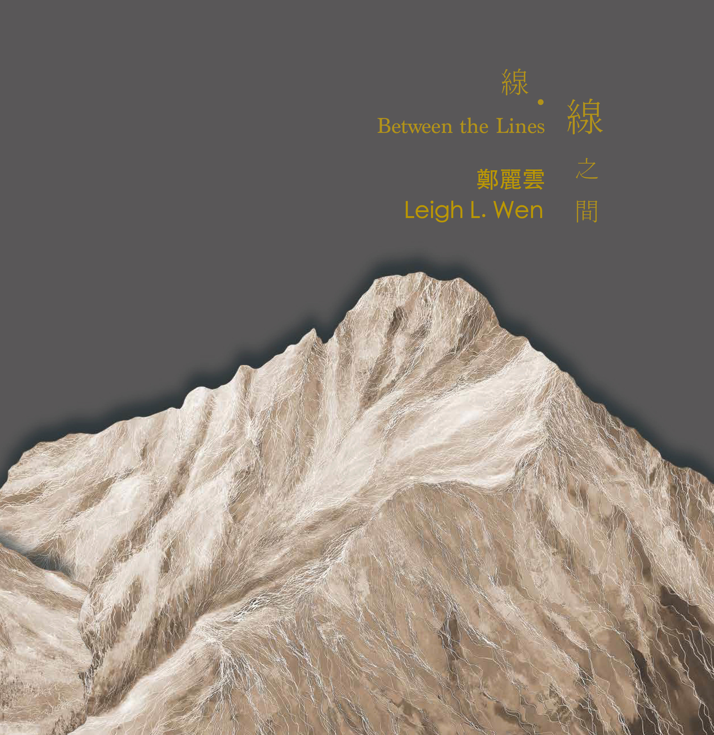 《線.線之間》鄭麗雲個展畫冊