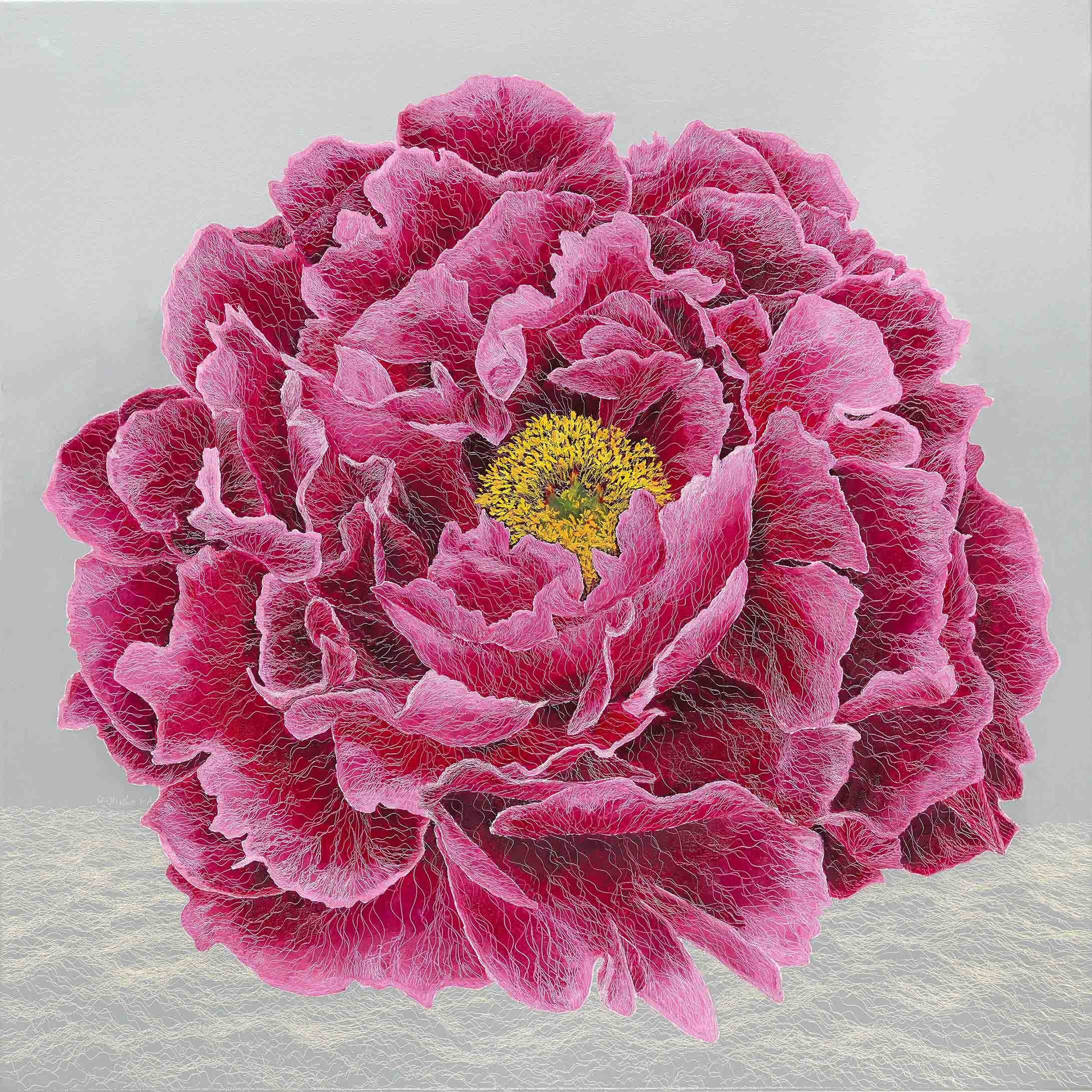 牡丹　Peony