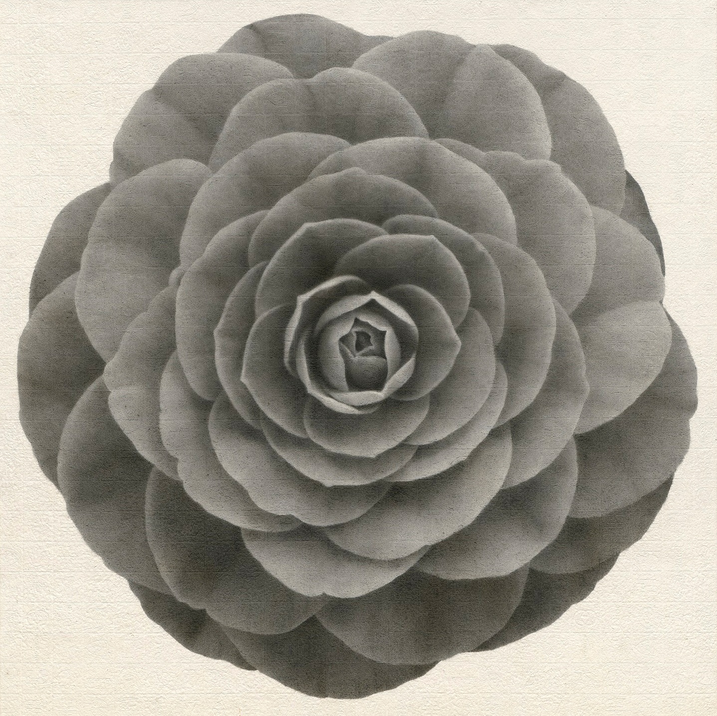 李君毅 花花世界-山茶花 95x95cm 2017 水墨紙本