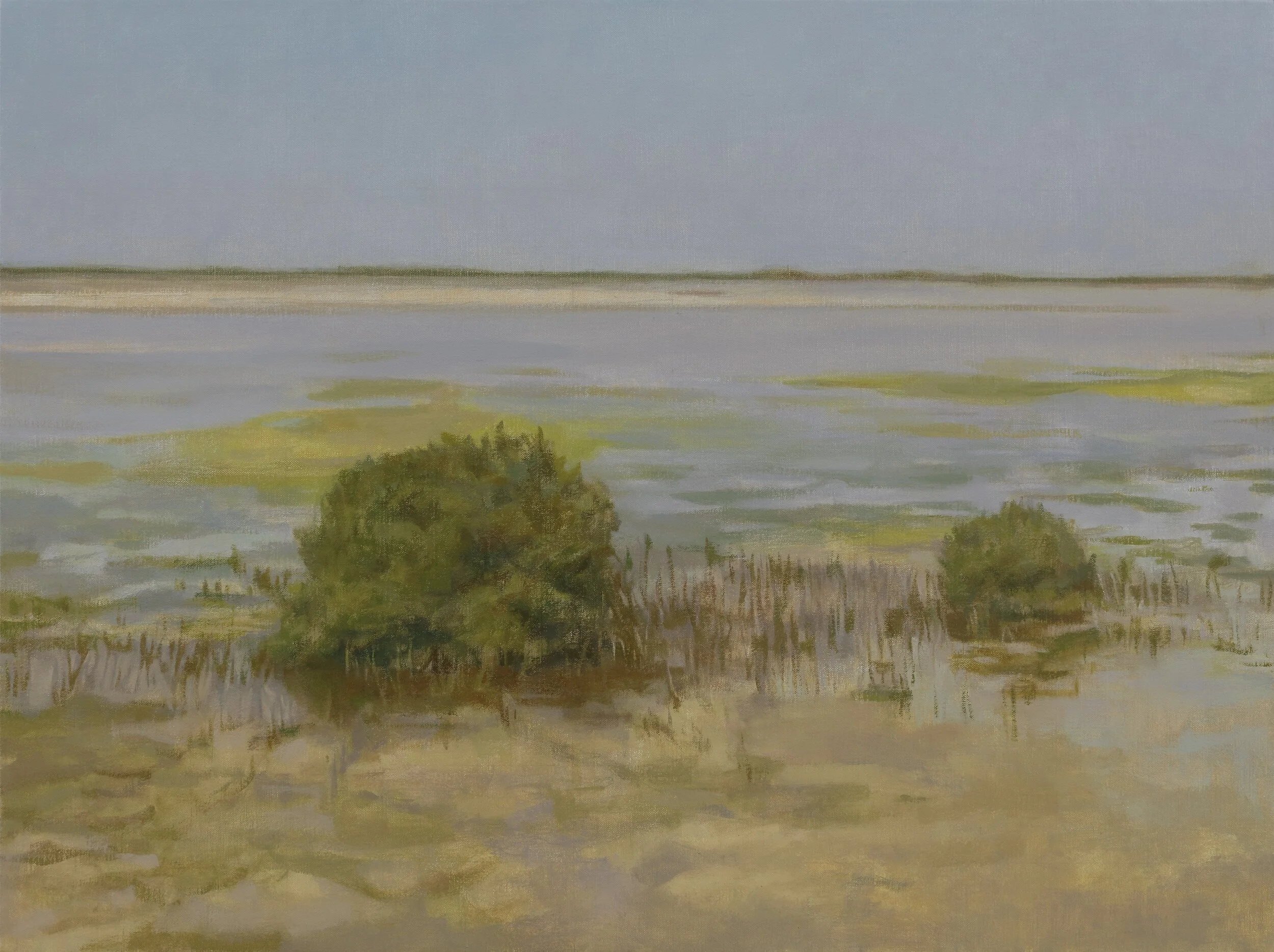 彼方  60x80cm  油彩  2019