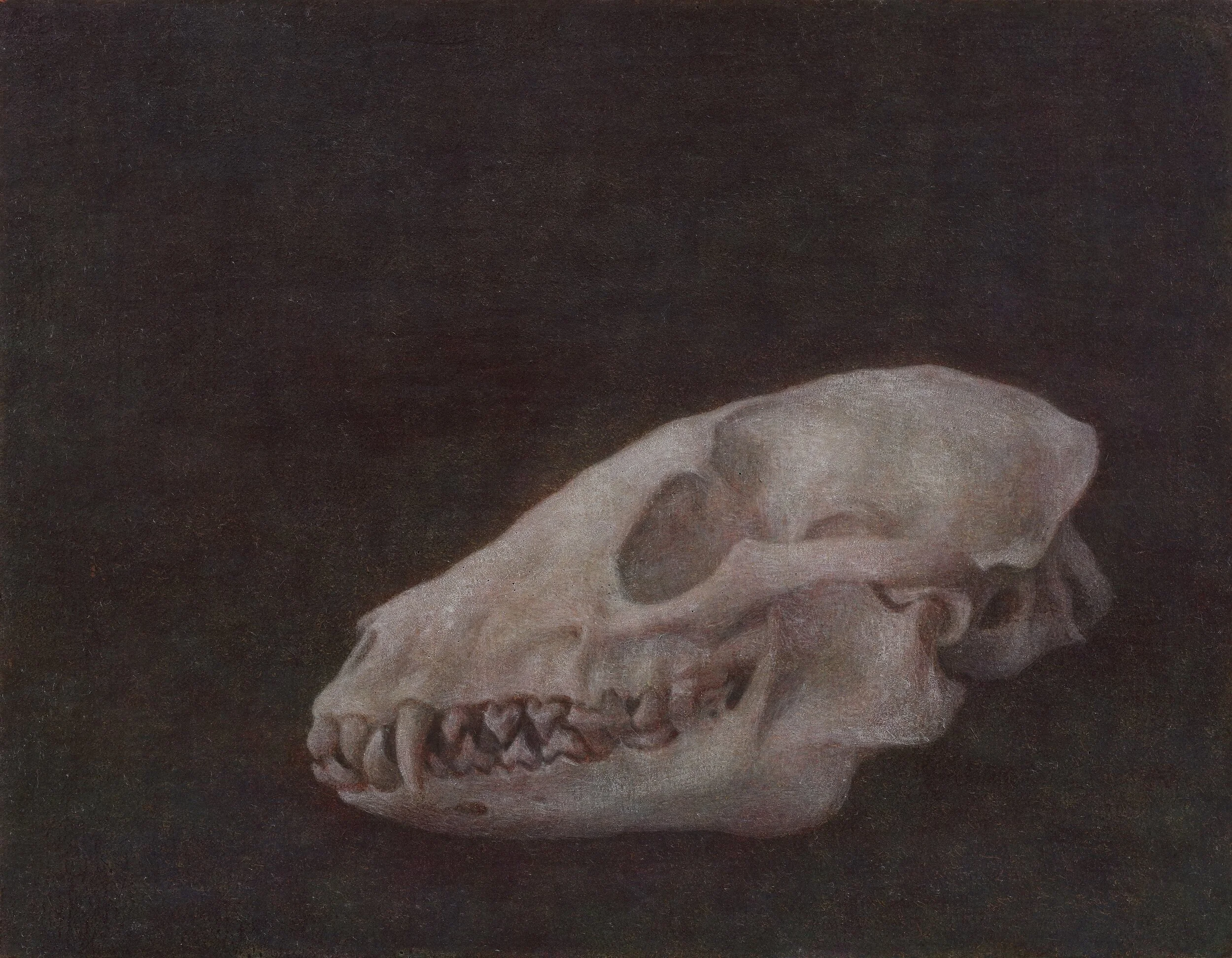 微光  14x18cm  油彩蛋彩混合技法  2019