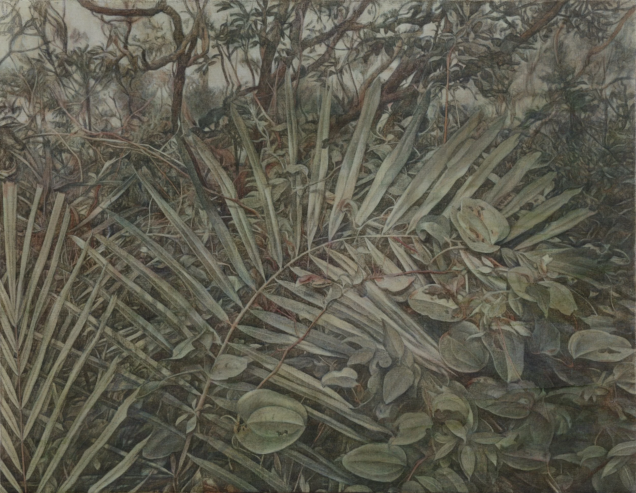 葉顏  53x41cm  油彩蛋彩混合技法  2019