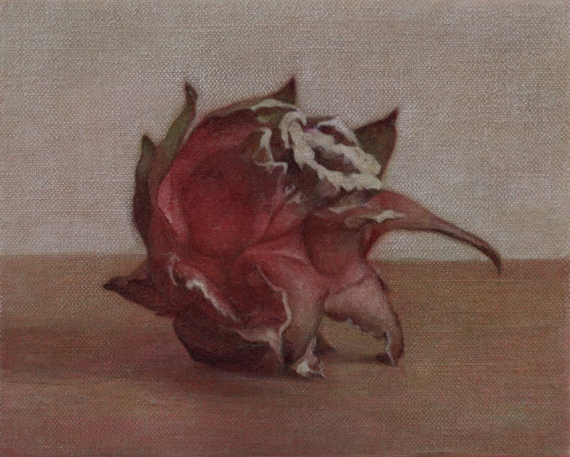 火龍果三相之一  14x17cm  油彩蛋彩混合技法  2019