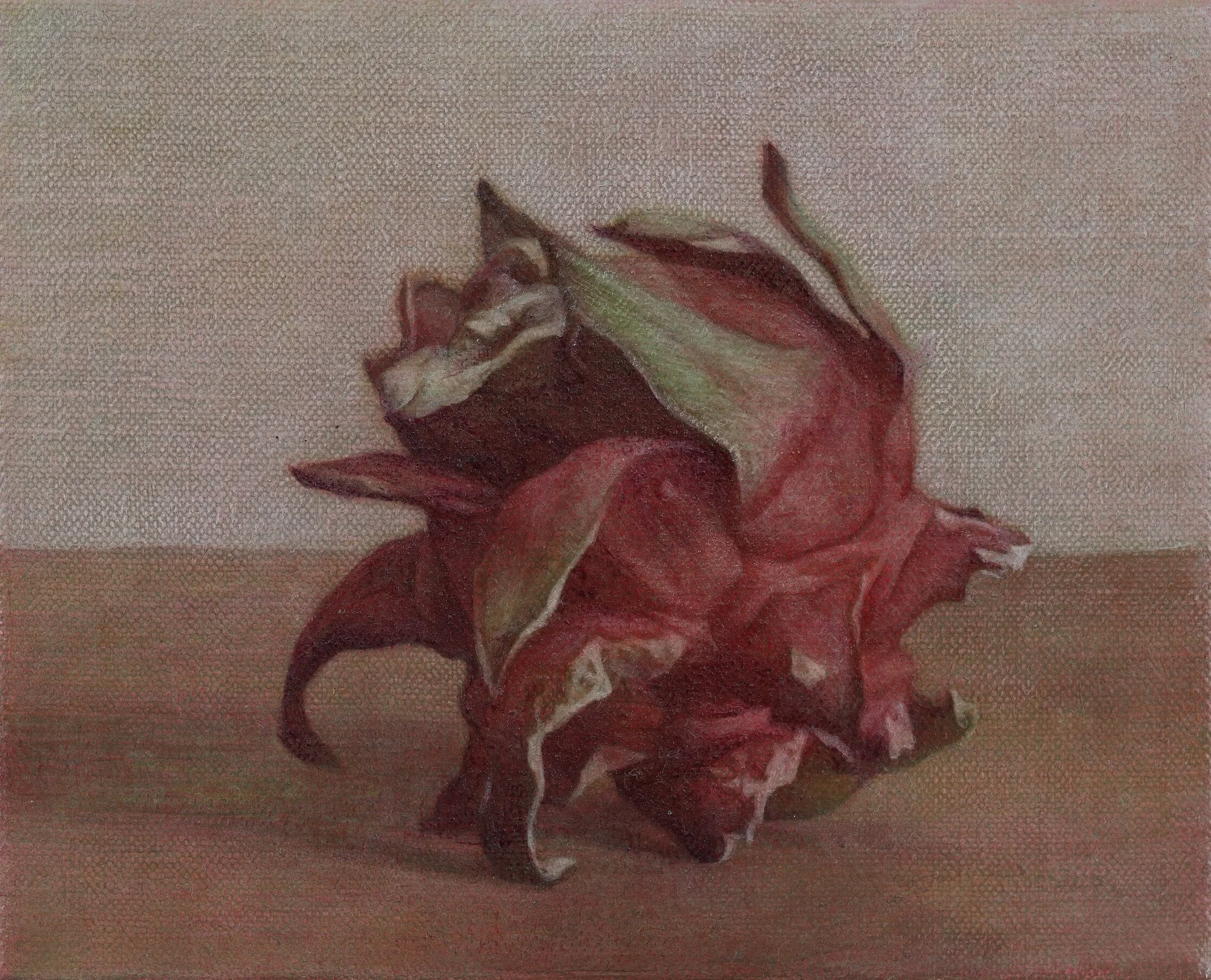 火龍果三相之三  14x17cm  油彩蛋彩混合技法  2019