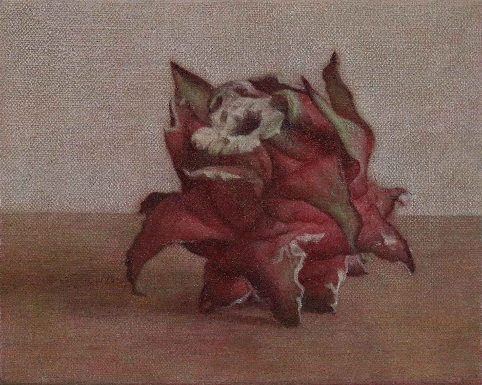 火龍果三相之二  14x17cm  油彩蛋彩混合技法  2019