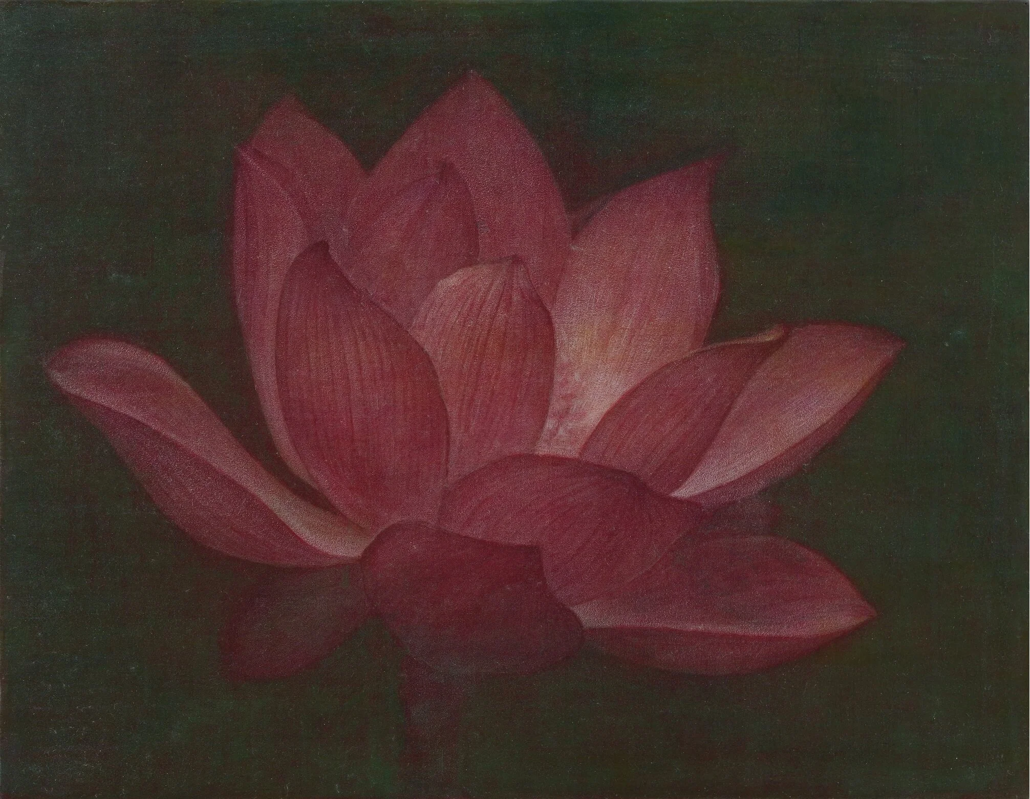 荷  14x18cm  油彩蛋彩混合技法  2019