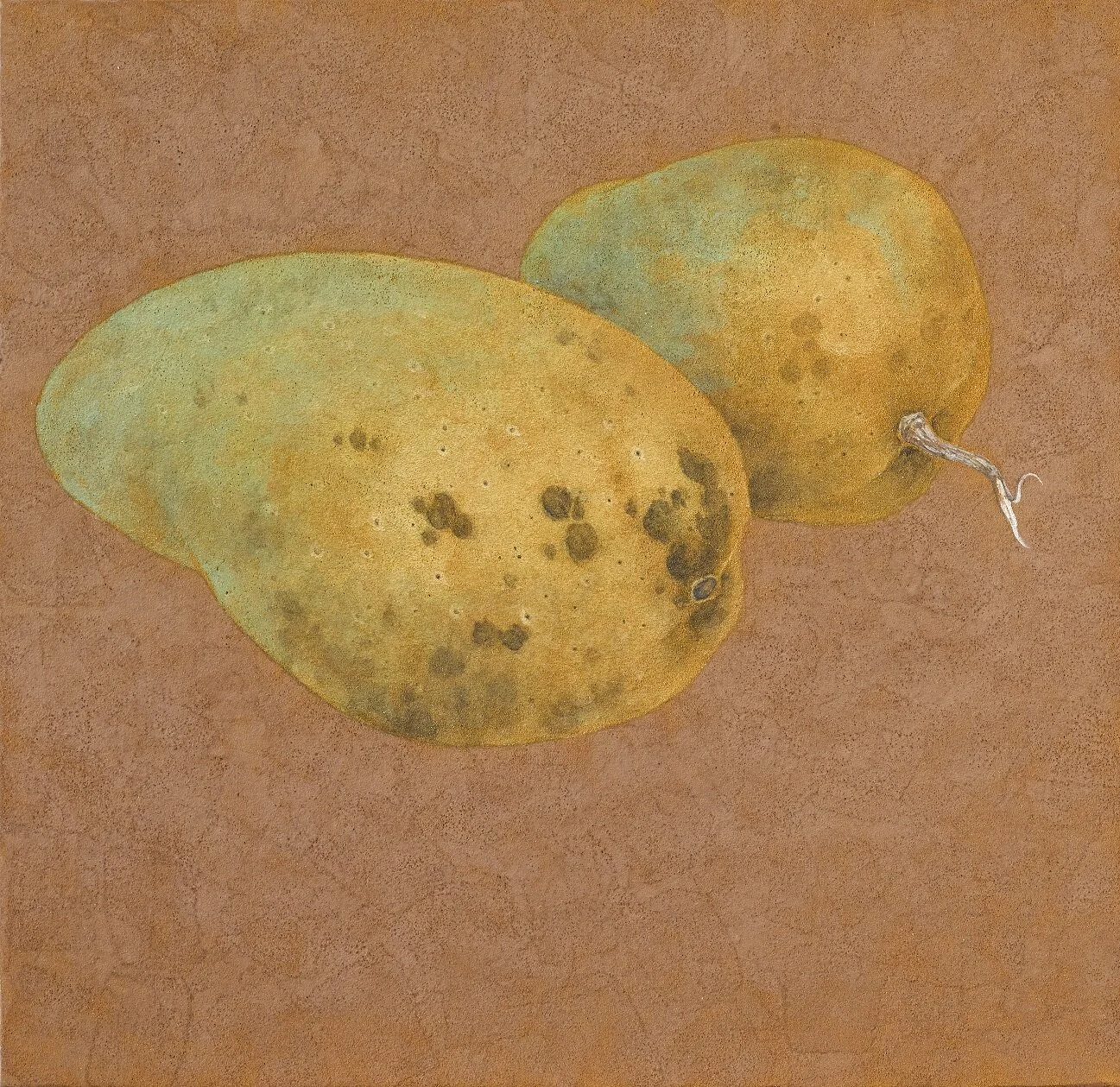 日常採集—番梭