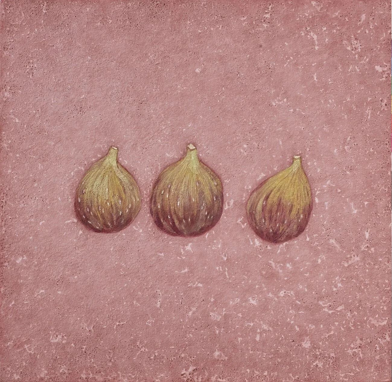 日常採集—無花果