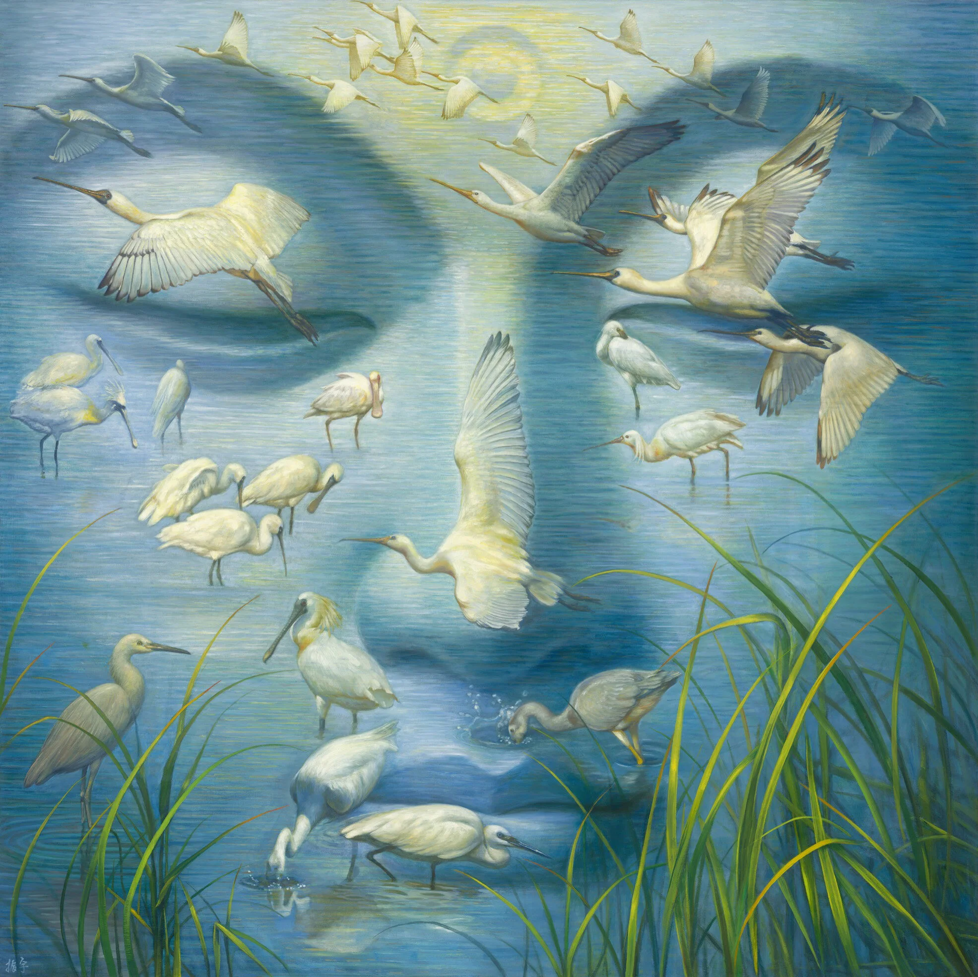 遊戲如來大圓覺海