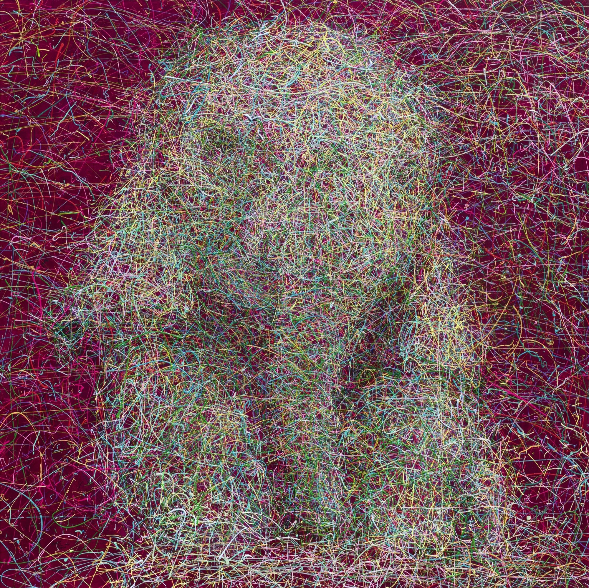 三級警戒的小象