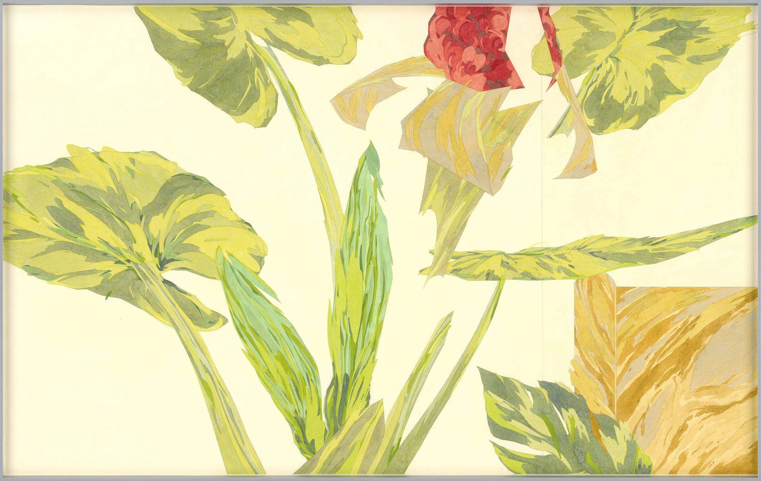 有植栽的室內-姑婆芋龜背芋01