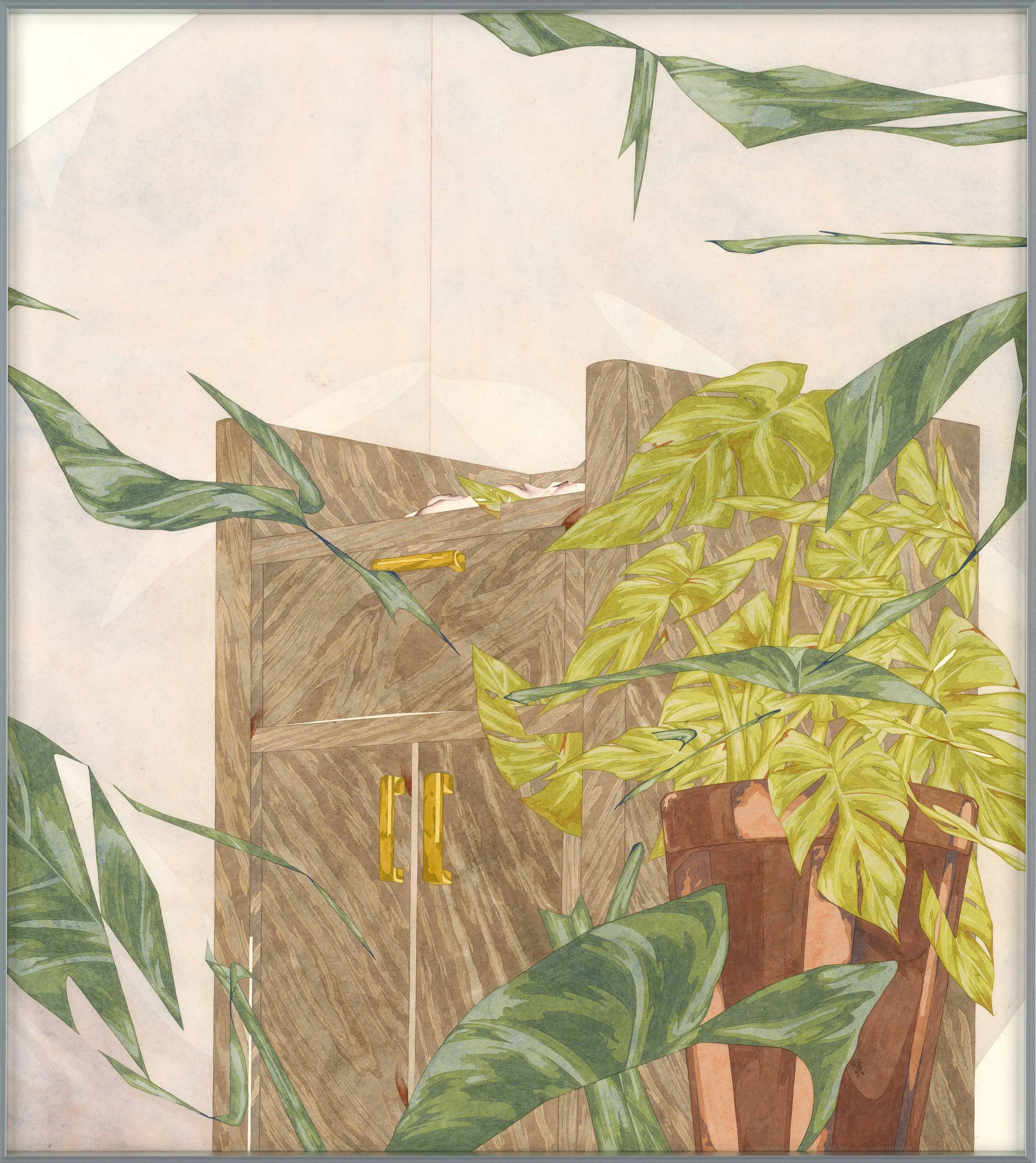 有植栽的室內-姑婆芋龜背芋00