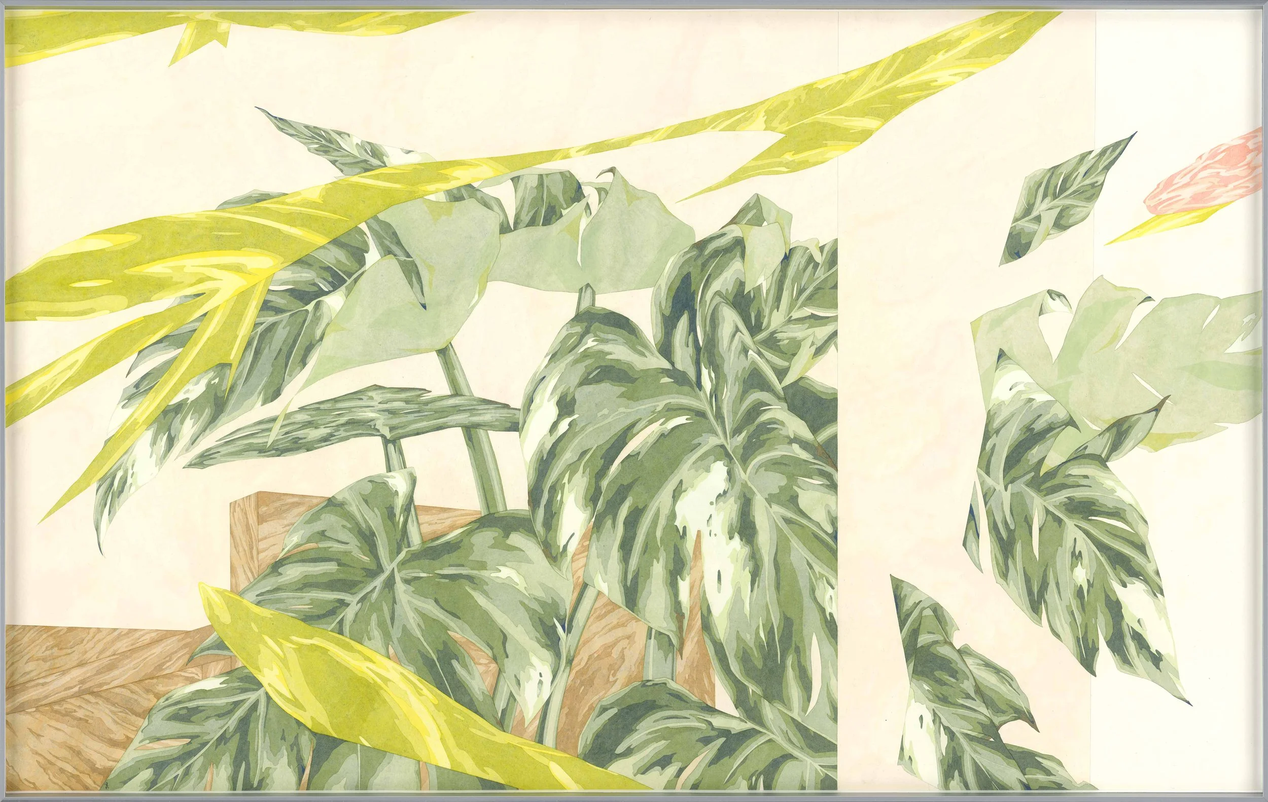 有植栽的室內-姑婆芋龜背芋02